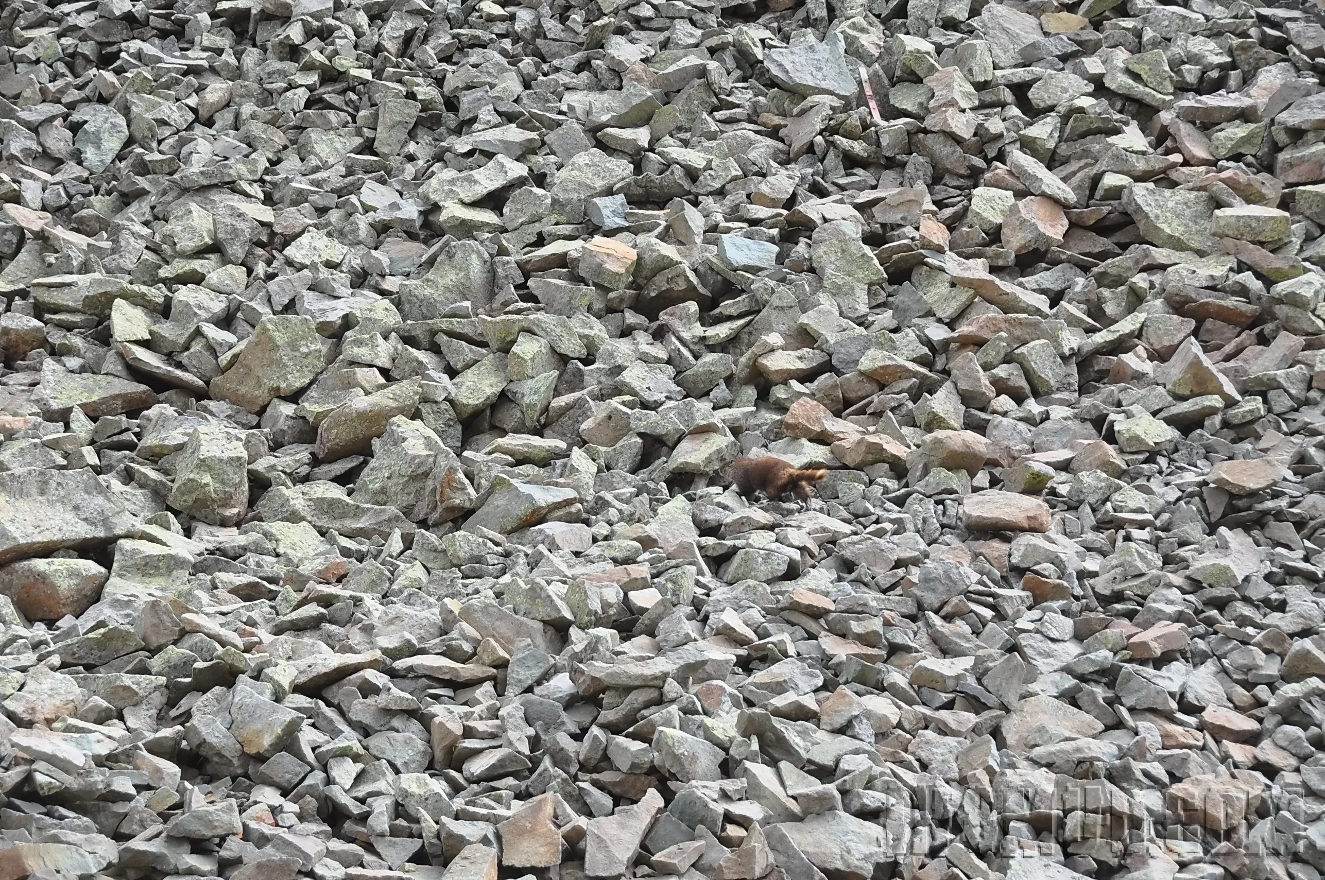 2012-07_FJSummit_DSC_0418.JPG