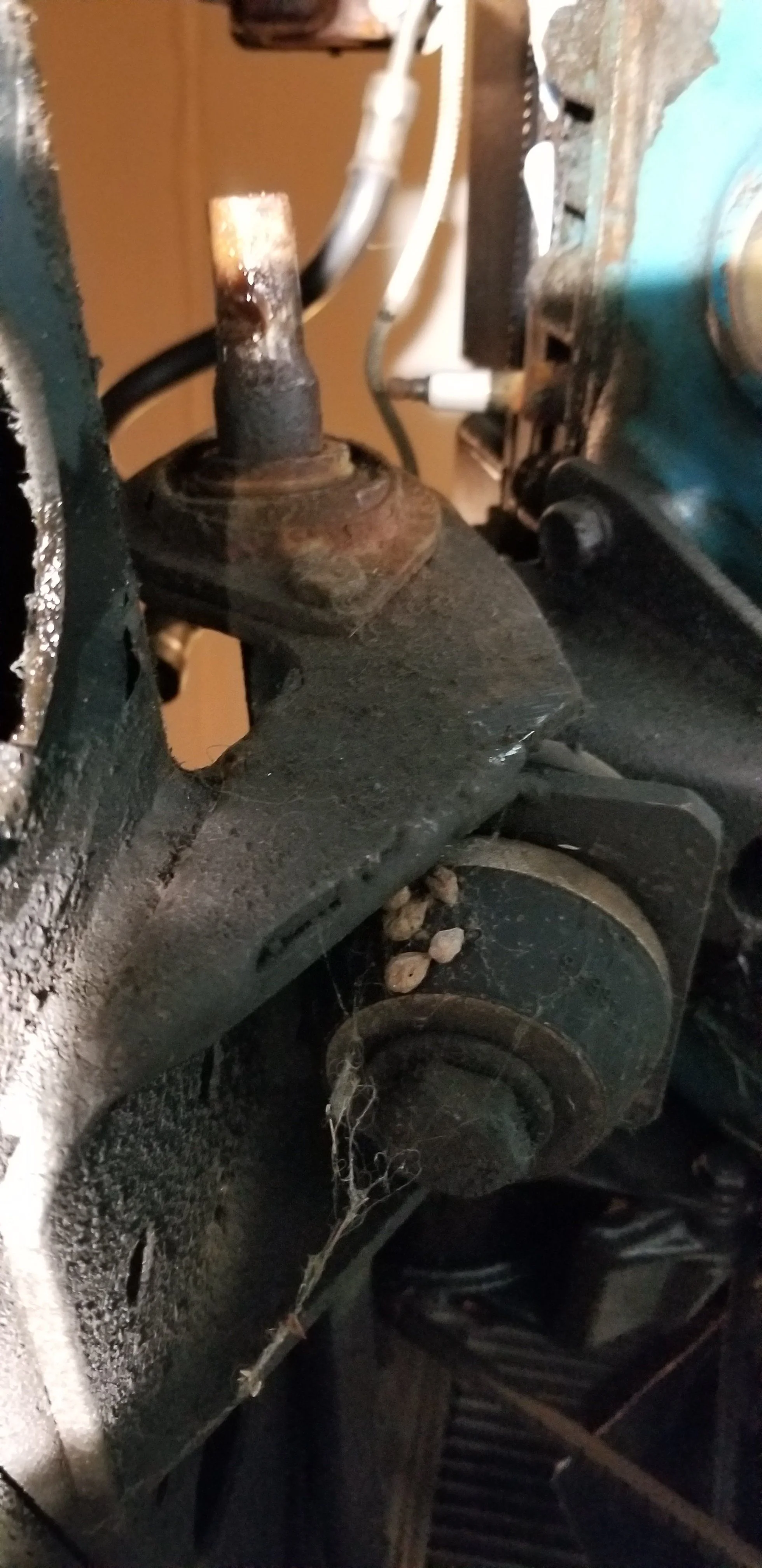 20190702_234037.jpg | IH8MUD.com Forum | Toyota, Lexus & Off-Road ...