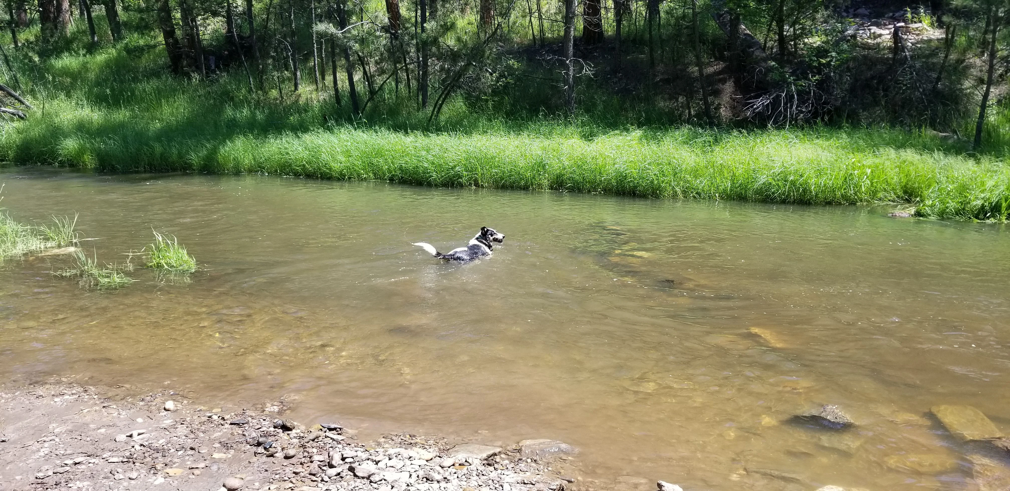 20190707_115631.jpg