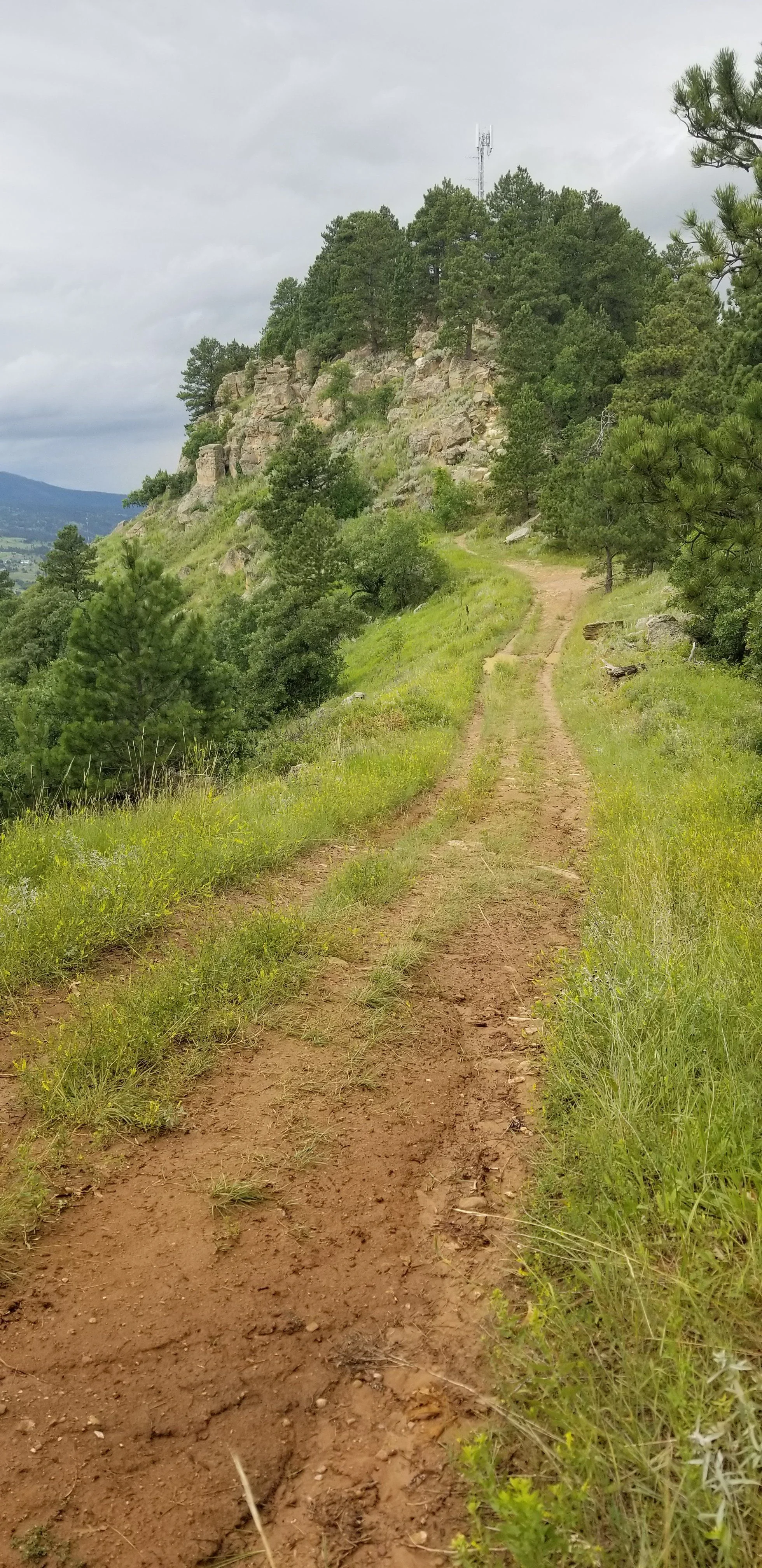 20190721_103342.jpg