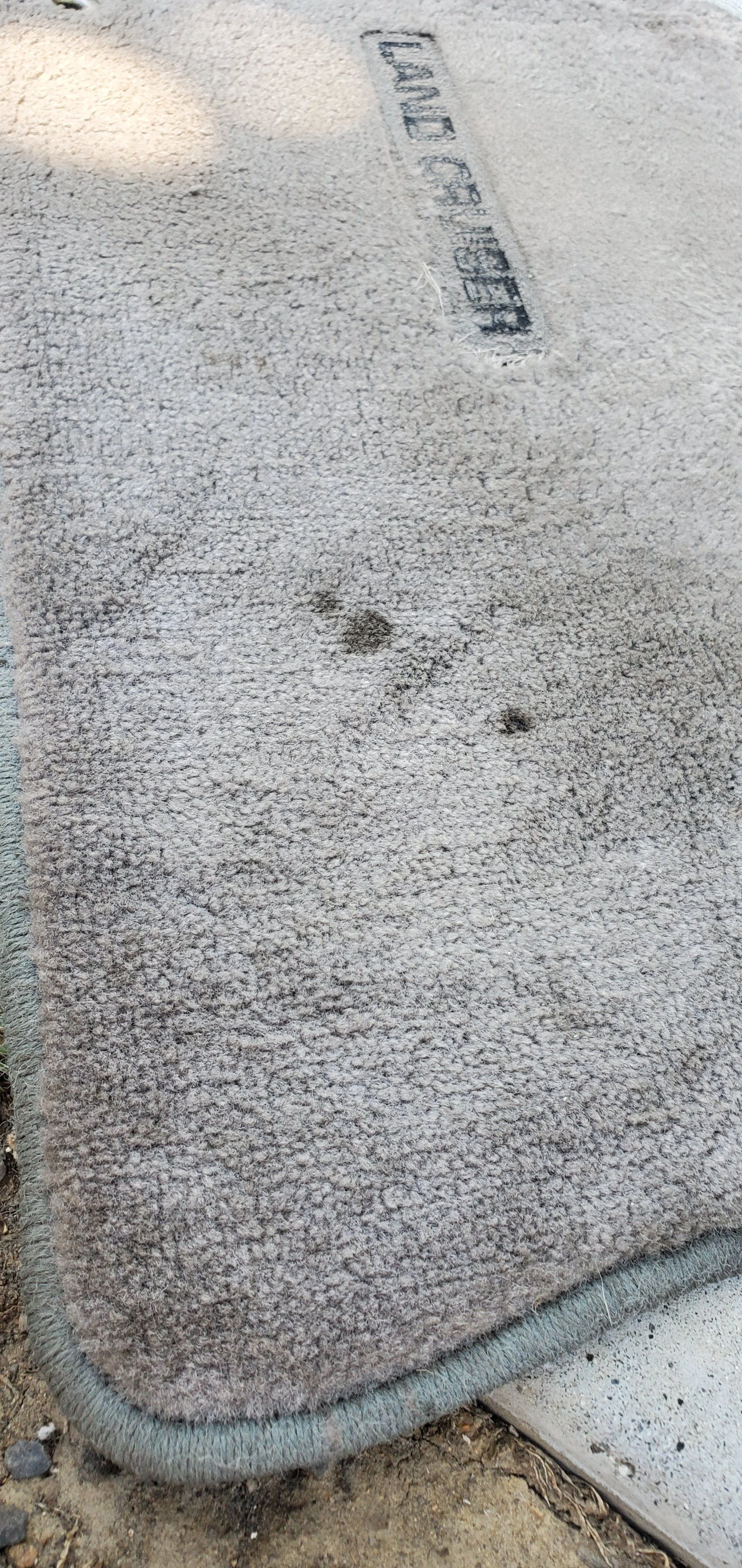 20200723_121027.jpg