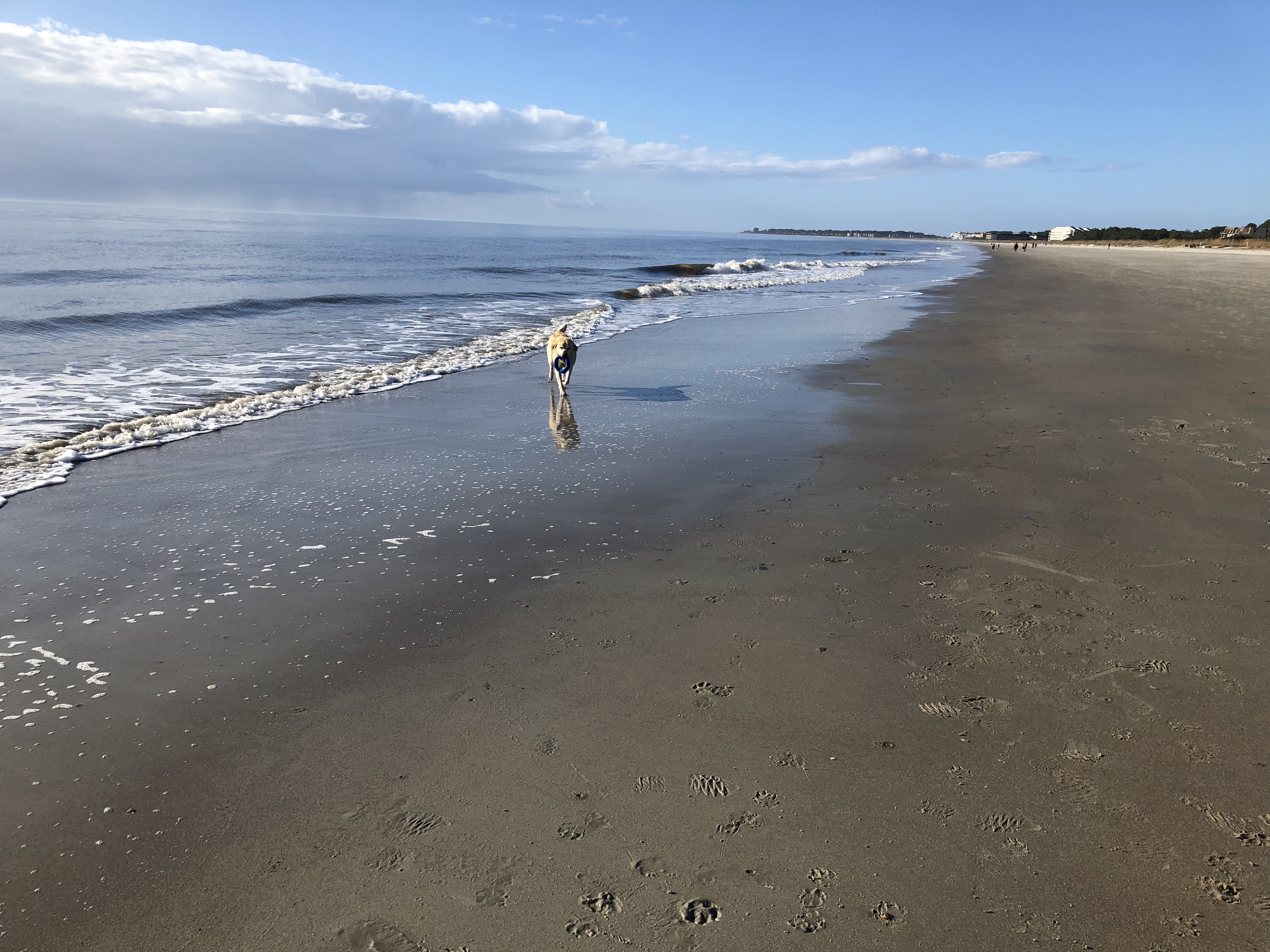 4C581544-0E08-45E2-BC97-947B053B6940.jpeg