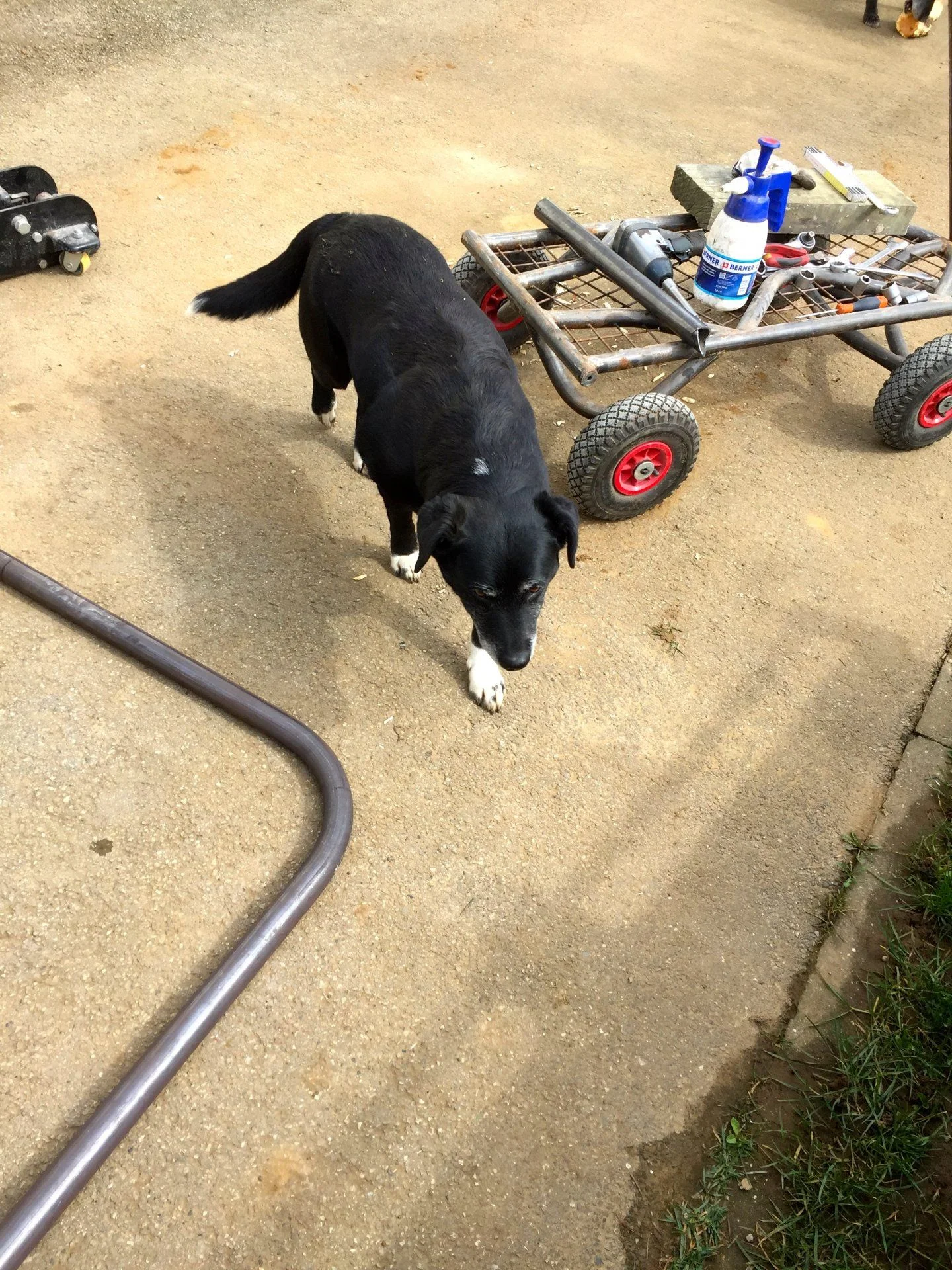 80 rear wishbone build