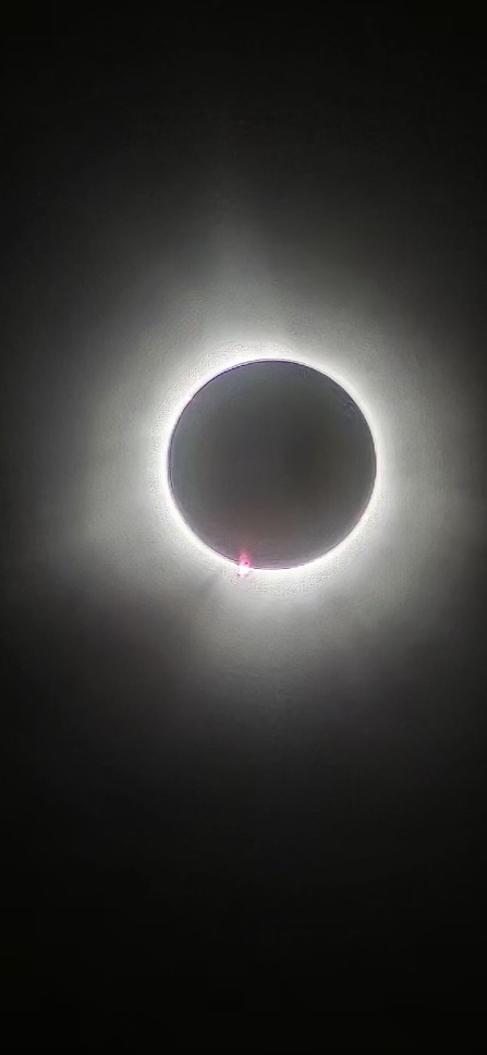 848900E8-989F-47F4-B36C-60E2152DA6F2.jpeg