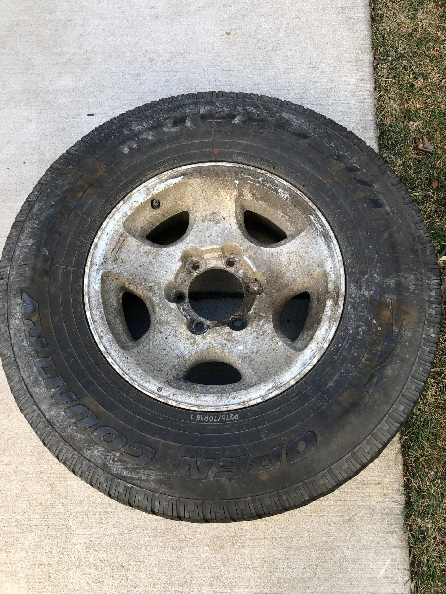'94 Acorn Wheel