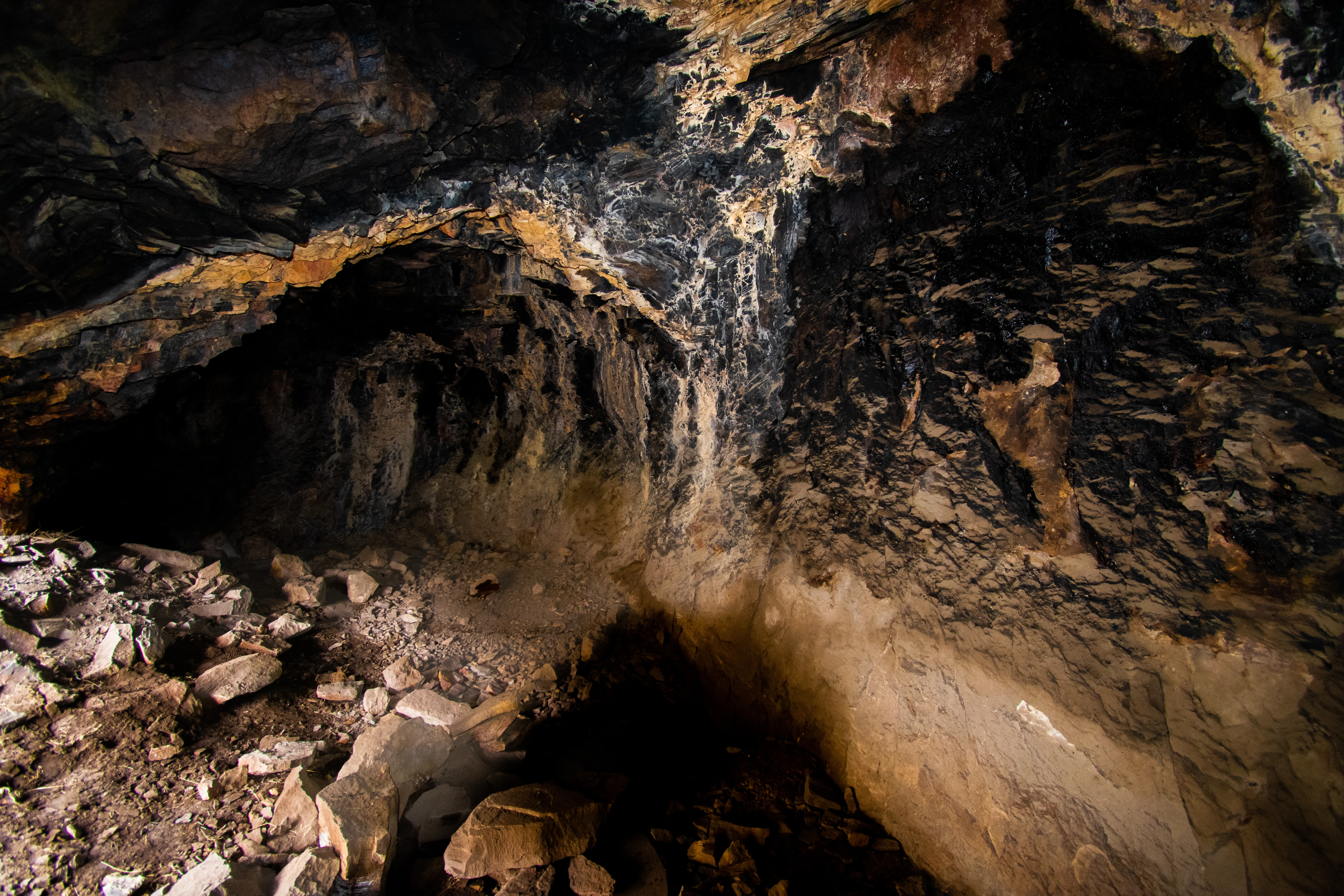 _DSC2294.jpg