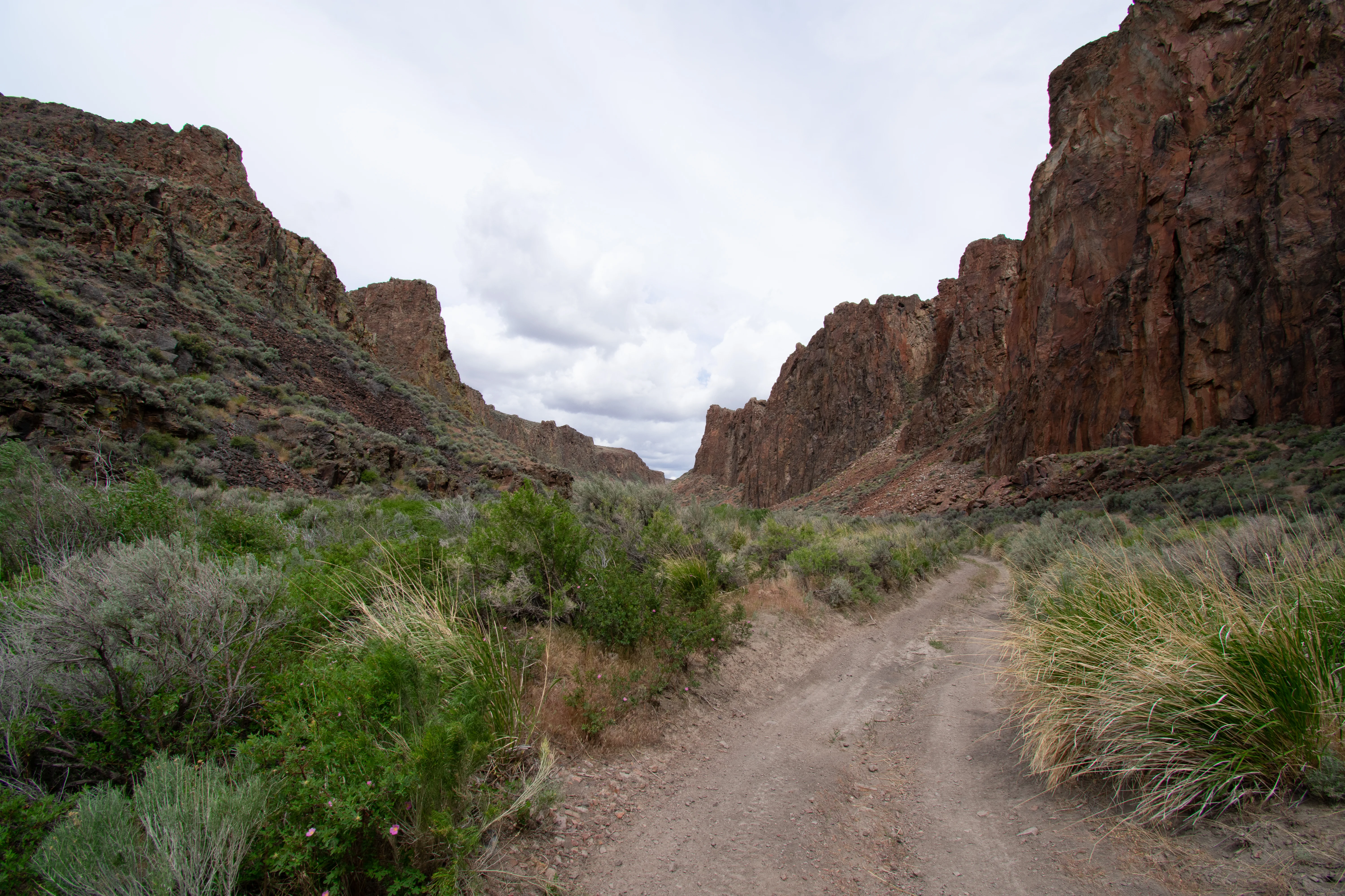 _DSC2300.jpg
