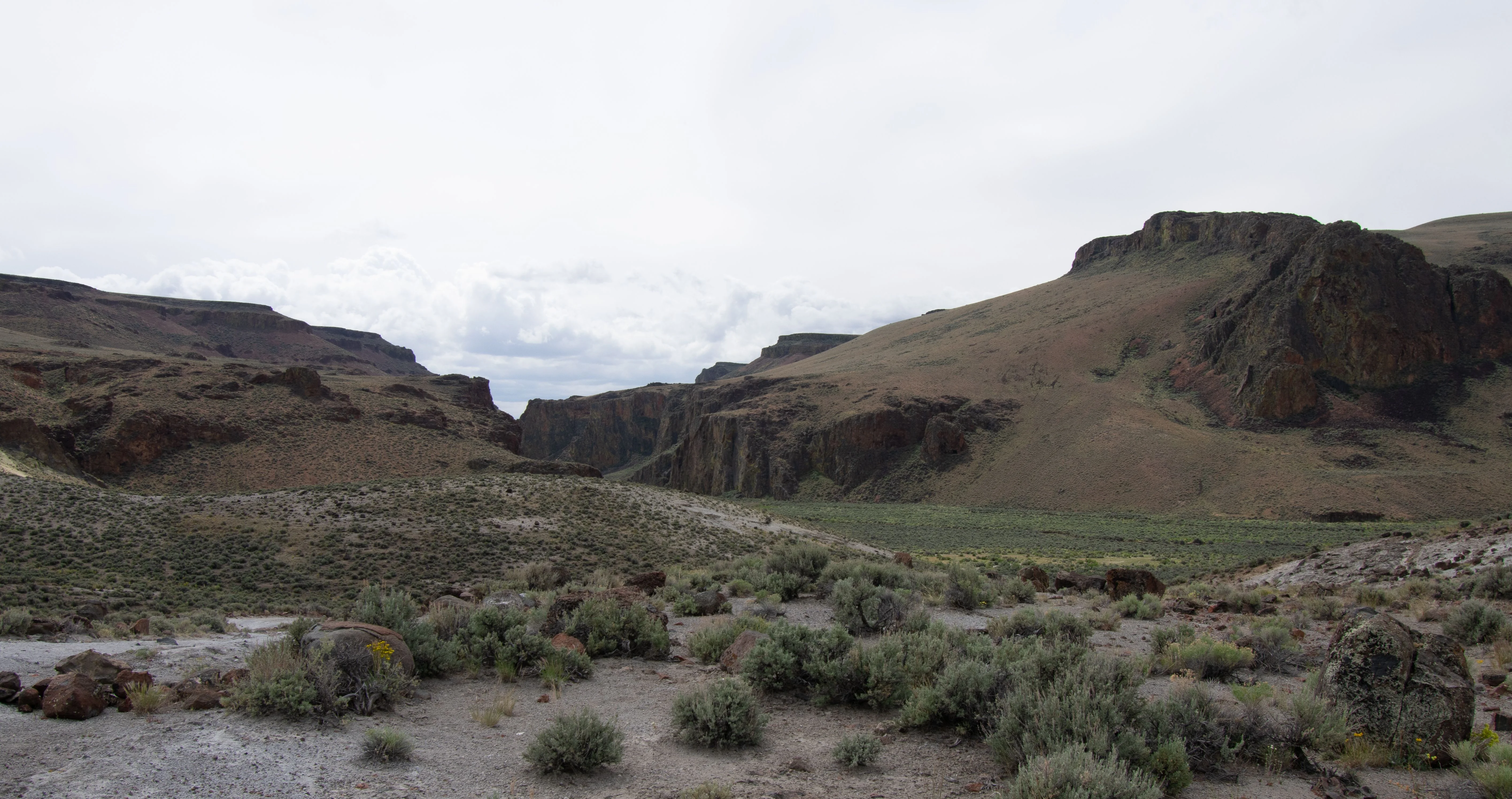 _DSC2306.jpg