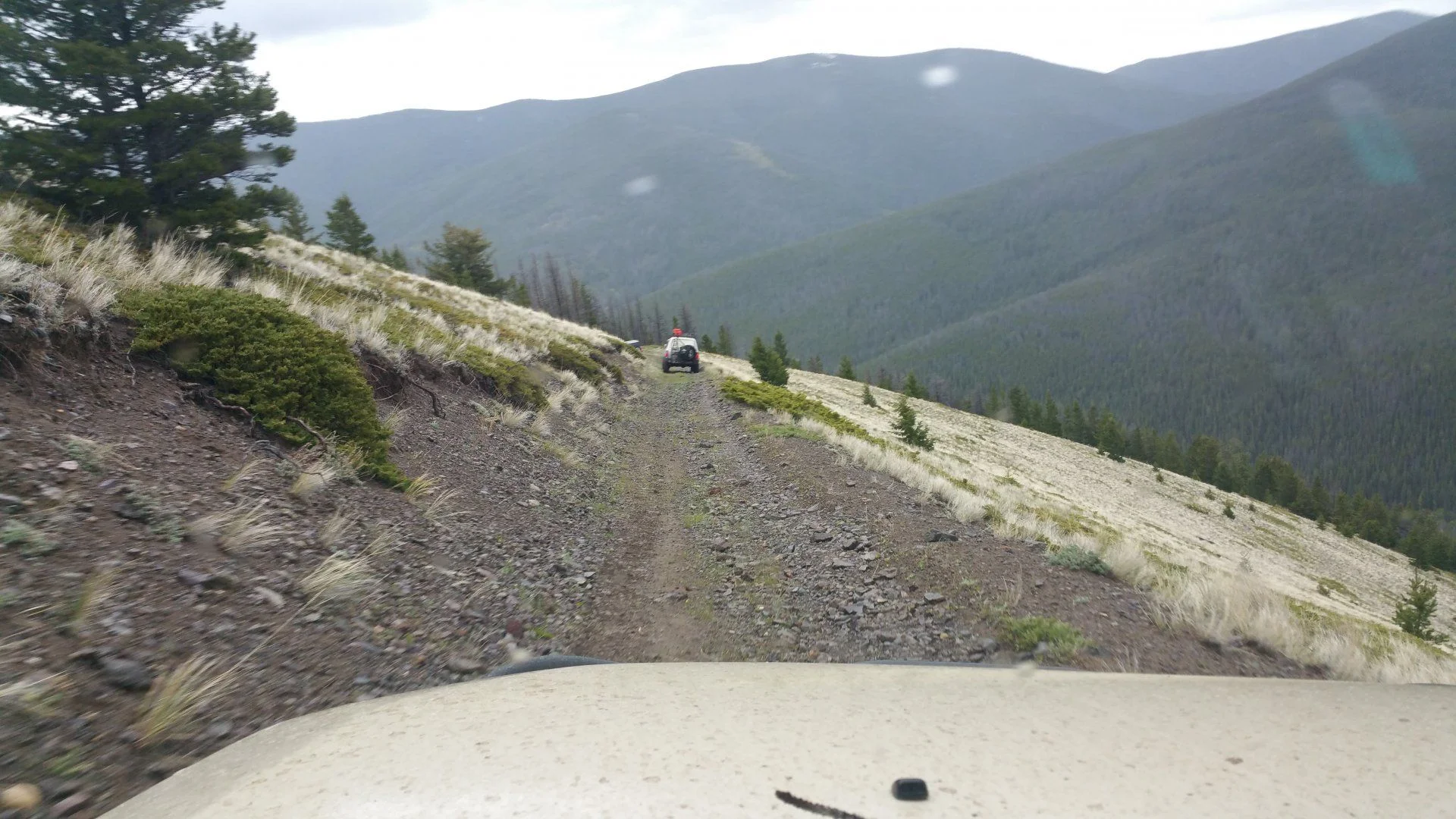 A clear view along the trail