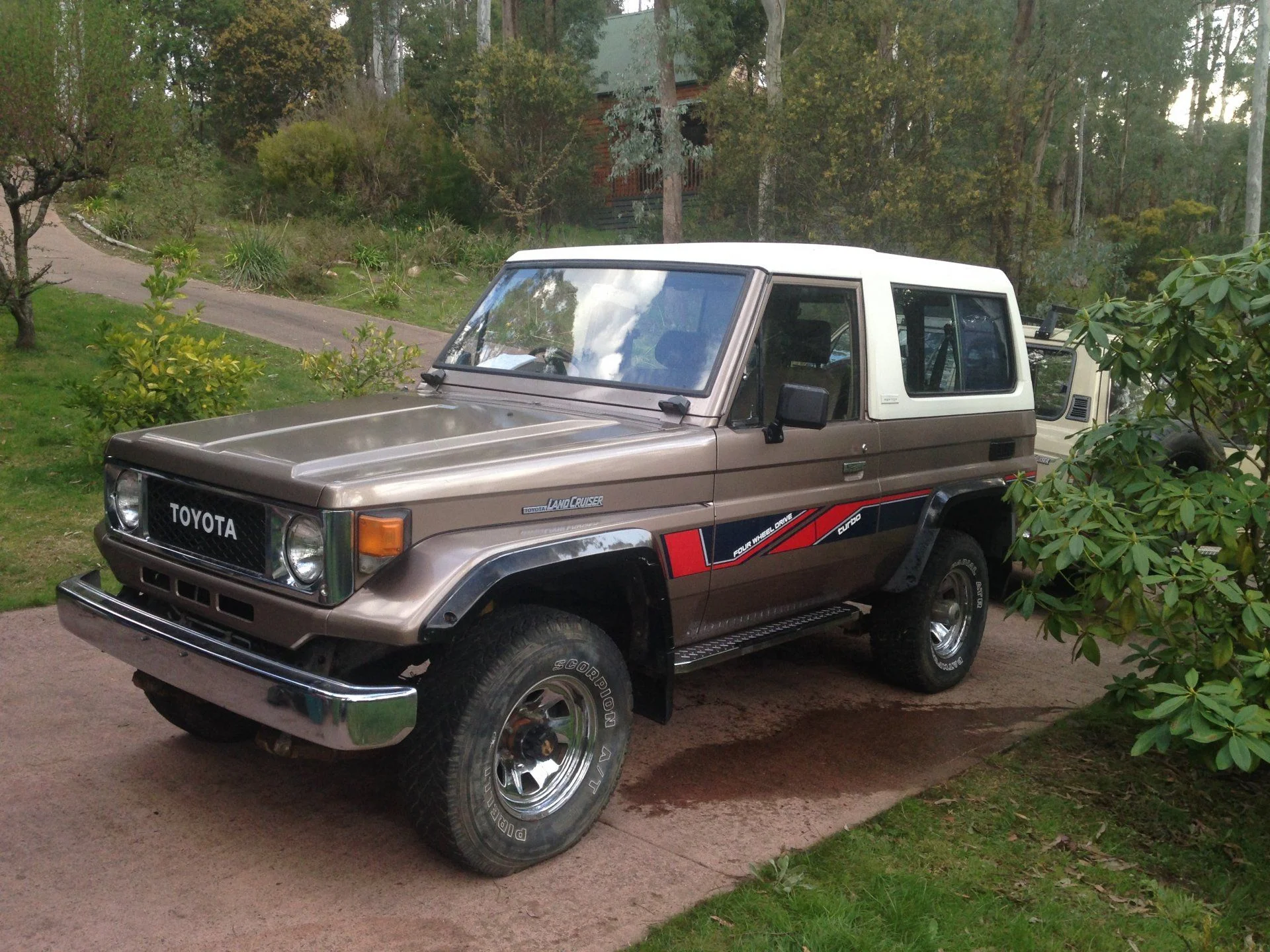 a few hours after getting it home.