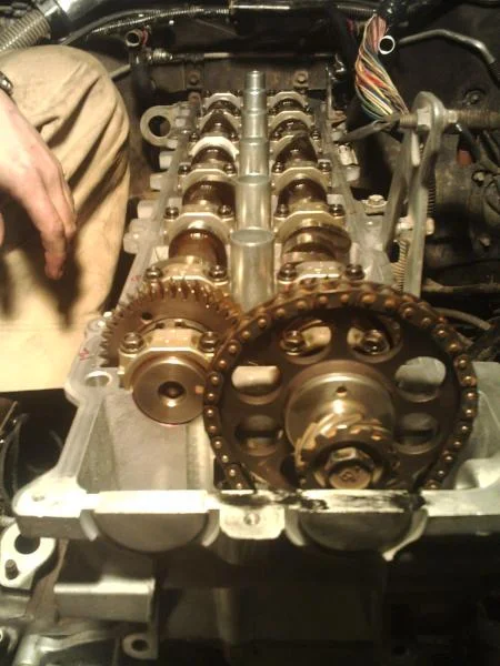 A nice clean head.
