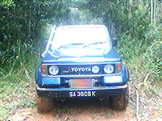 action in my fathers palm oil plantation project