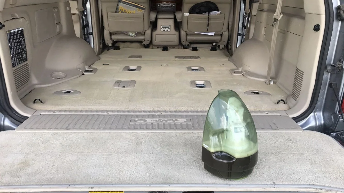 After a 6,000 mile road trip, she earned/desperately needed a deep clean for the carpets.