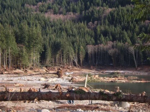 another borrowed pic from the net showing the washed out camp site