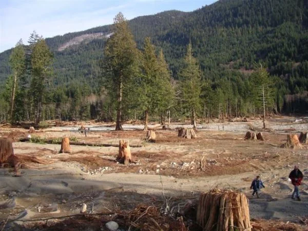 another  pic of Chehalis borrowed from the internet