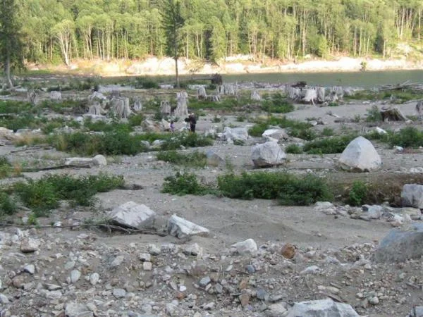 another pic of what the wave wiped out ,used to be huge trees and a campsite here
