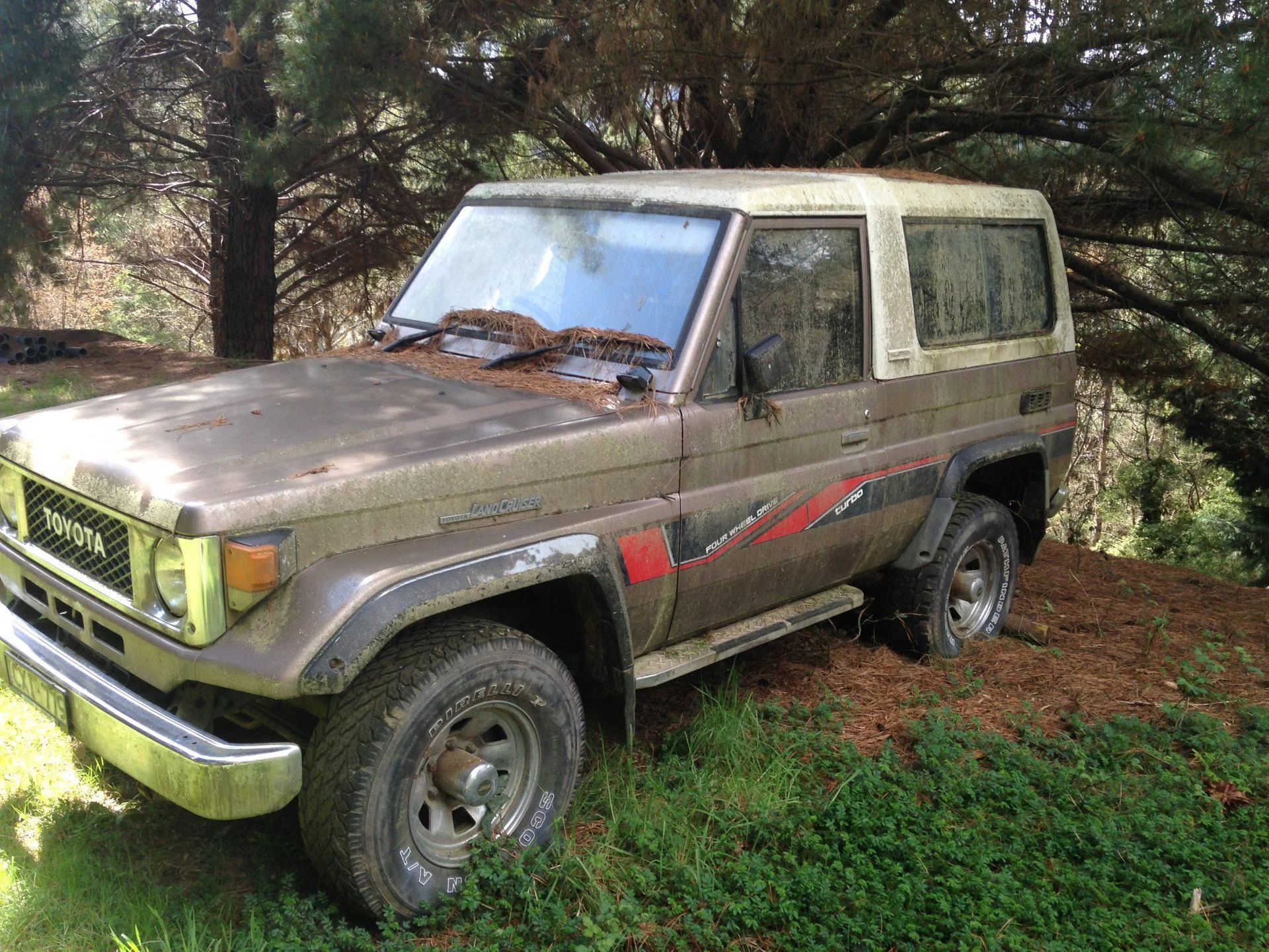 As discovered under a pine tree for 8 years.