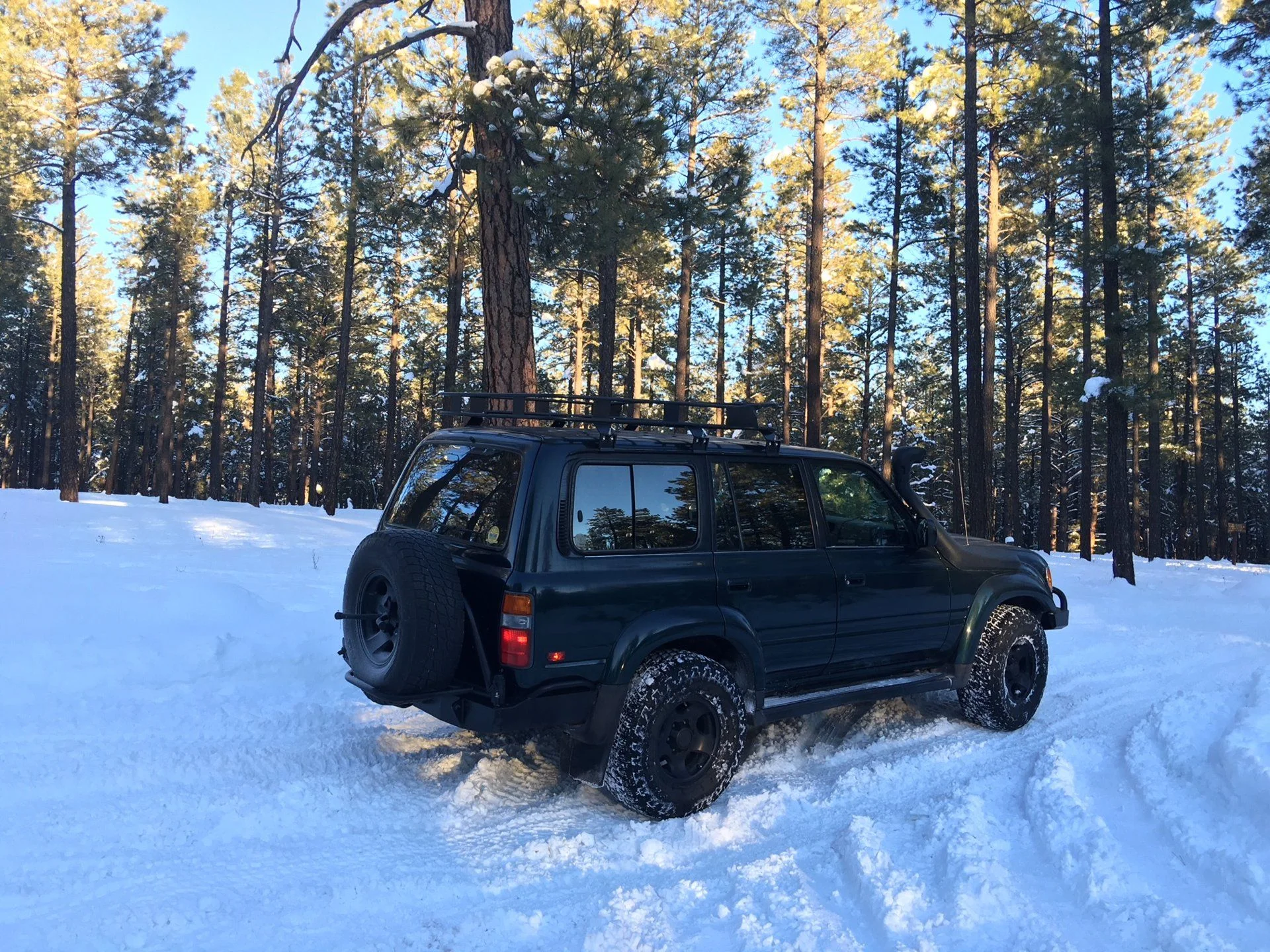 ava rear in snow