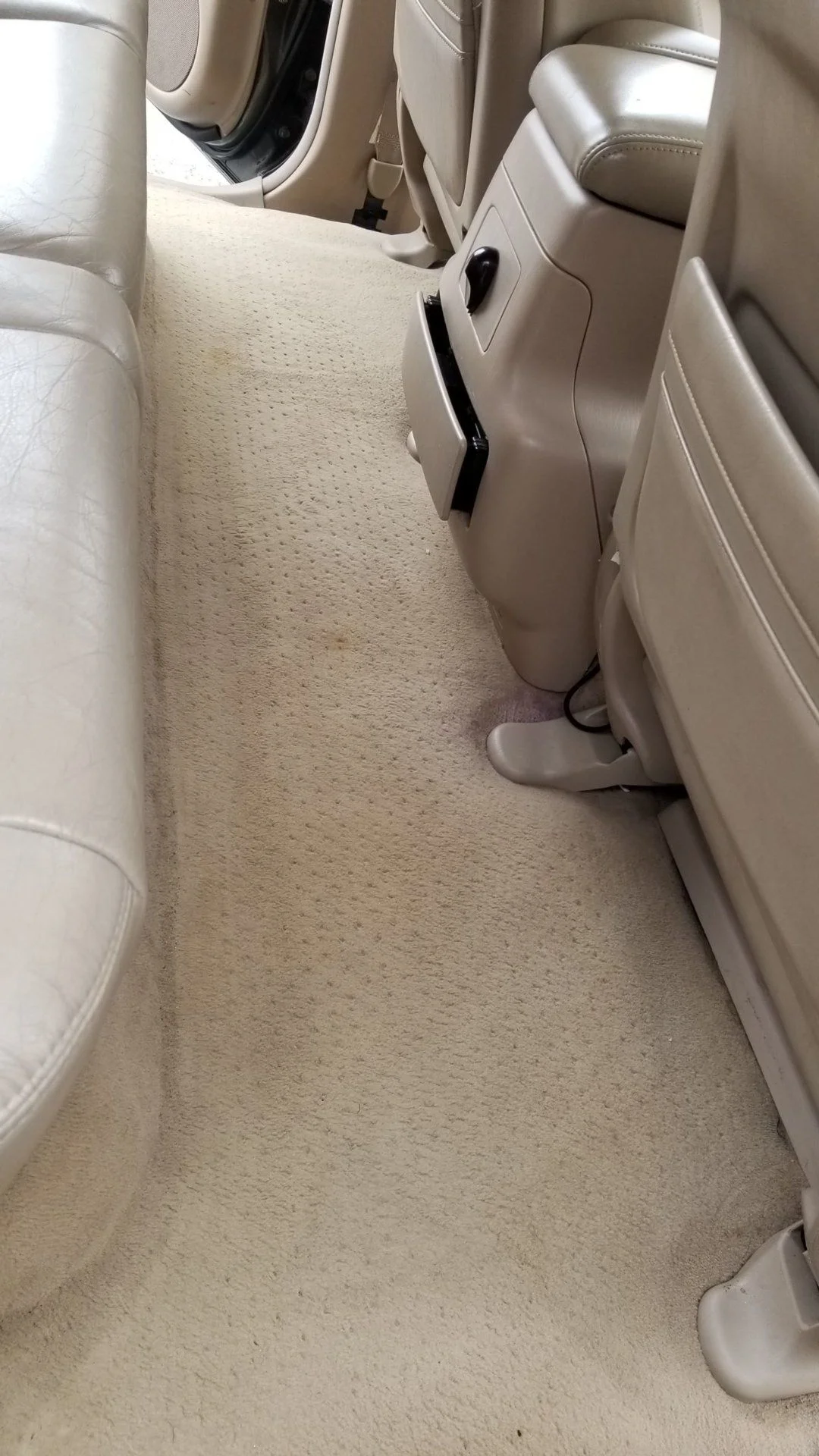 Back seats carpet.