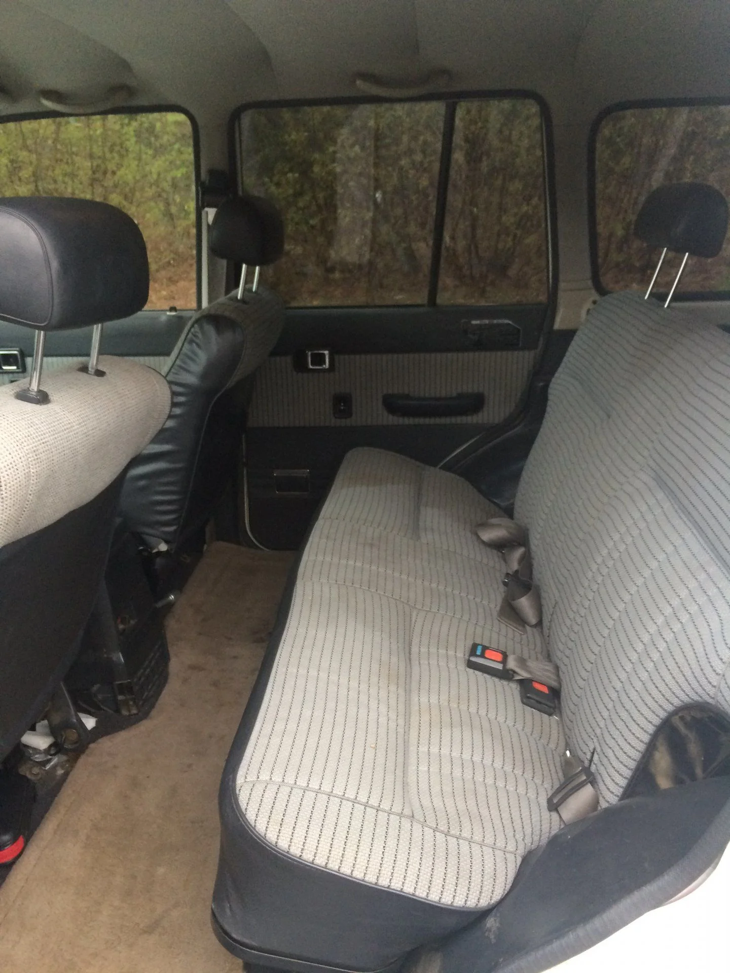 backseat