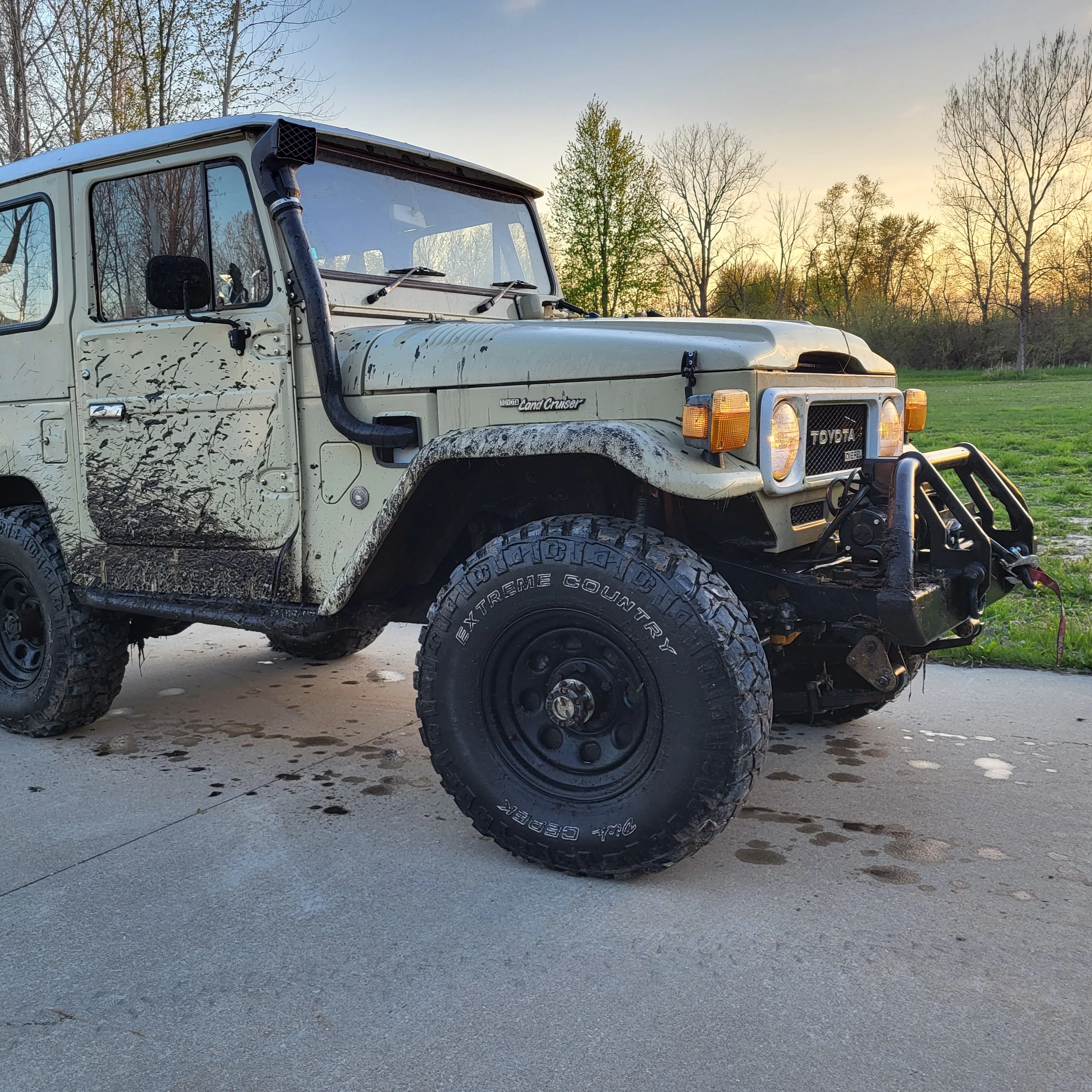 Backyard Muddy