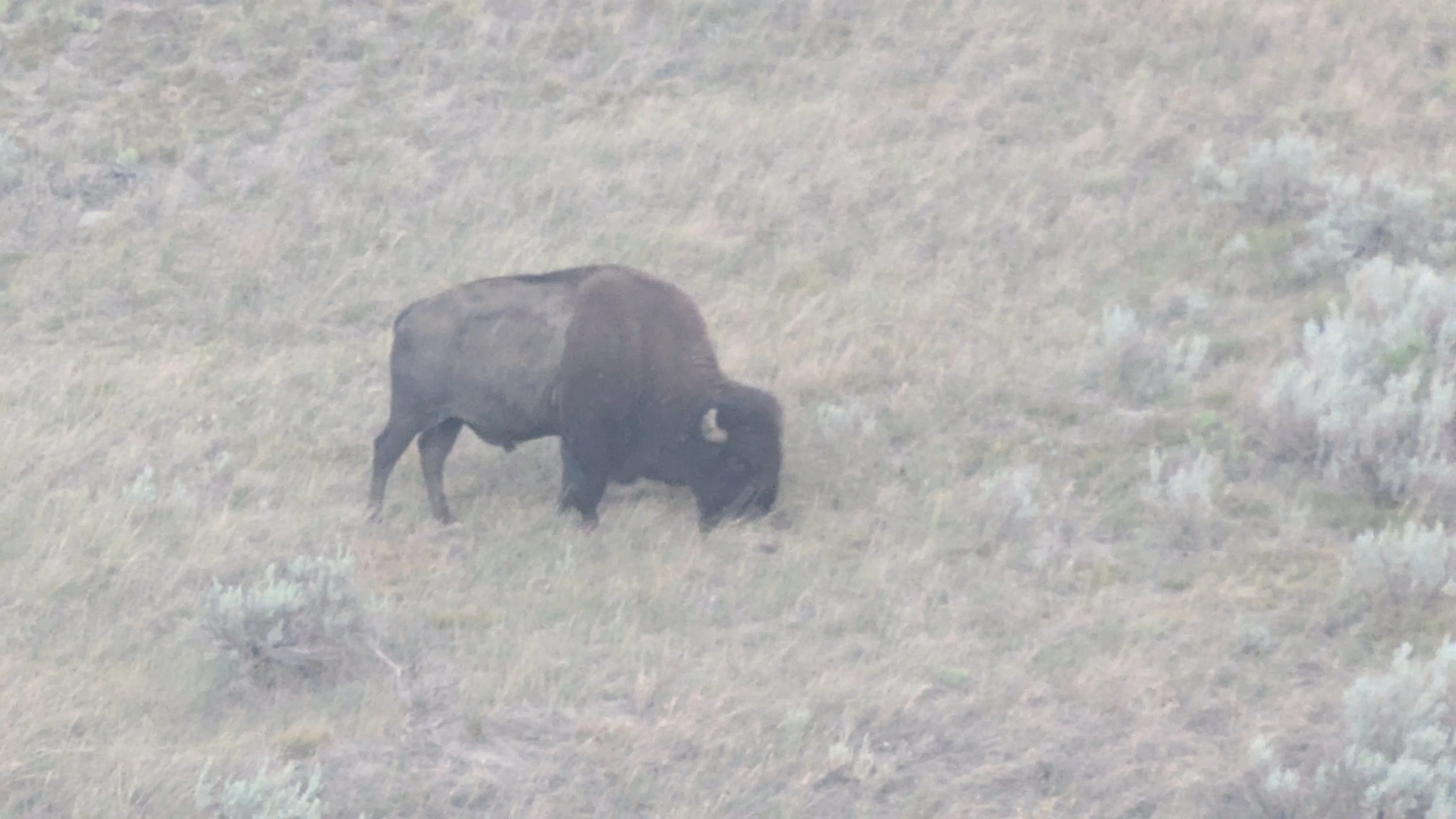 Badlands Nationl Park 9.webp