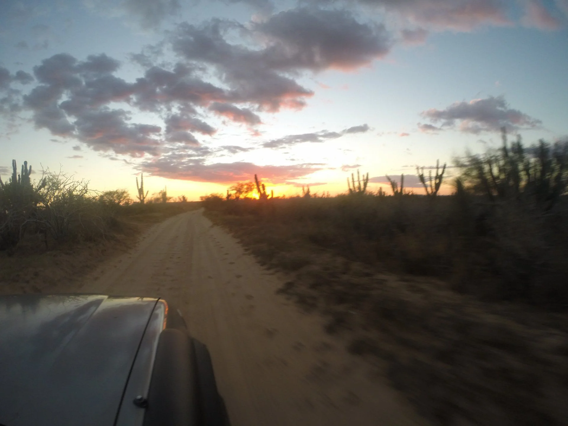BCS desert
