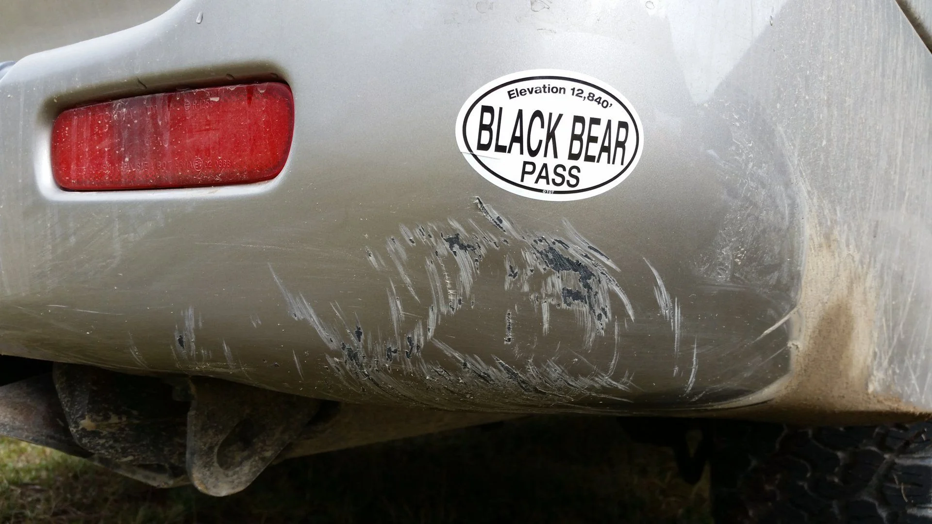 Bear attack
