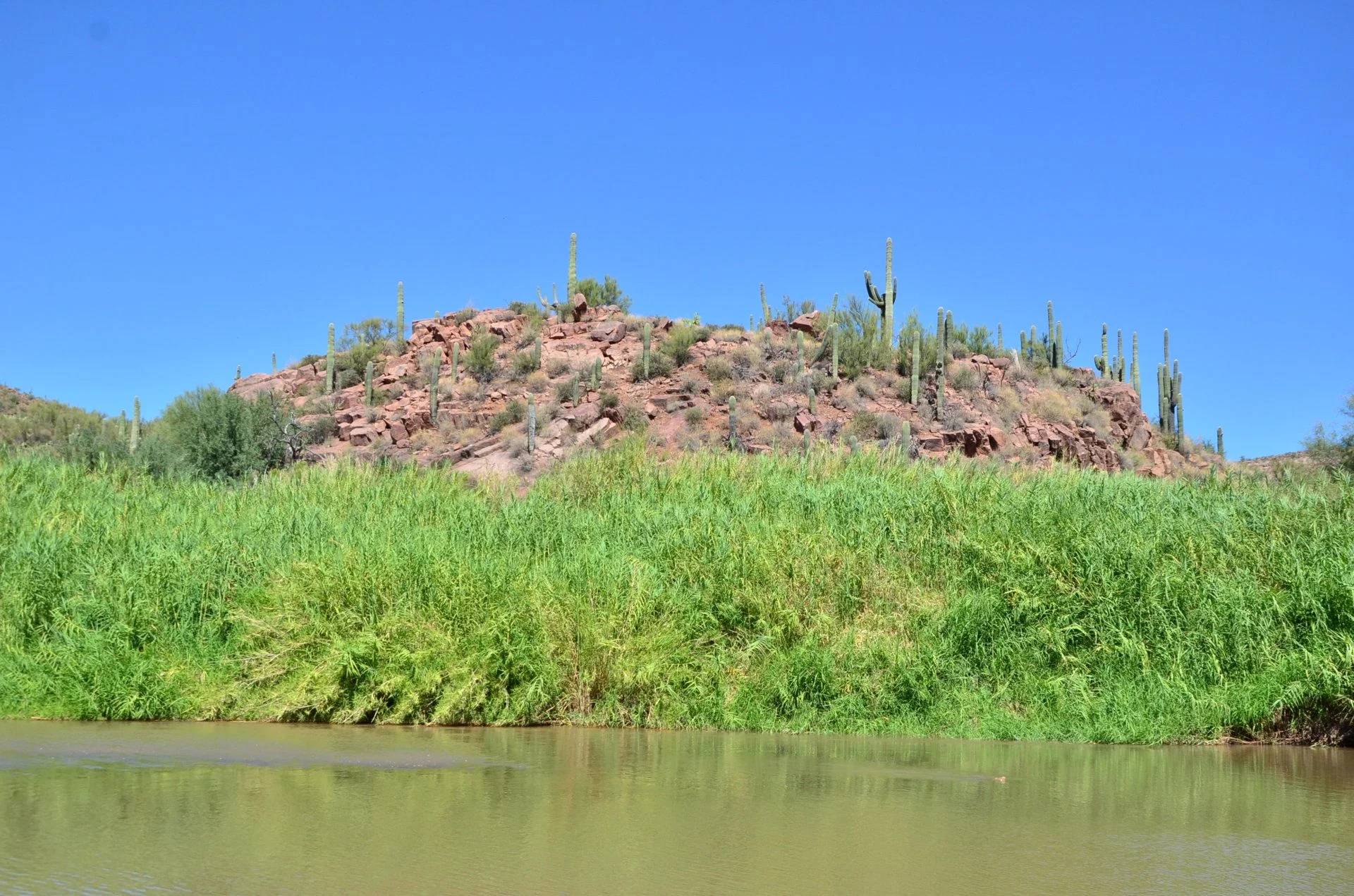 Beautiful day for outing to Sheeps Bridge