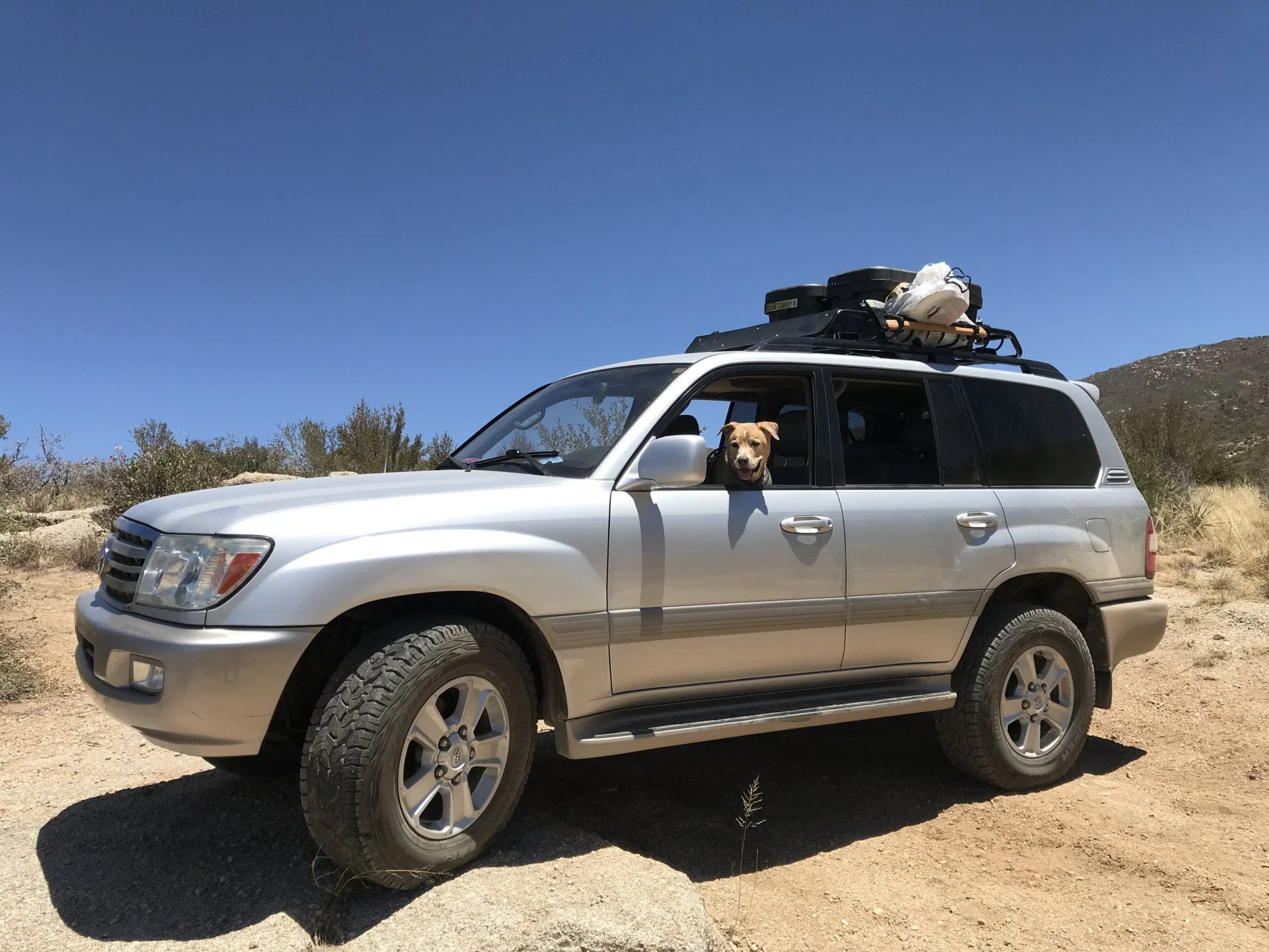 benny driving