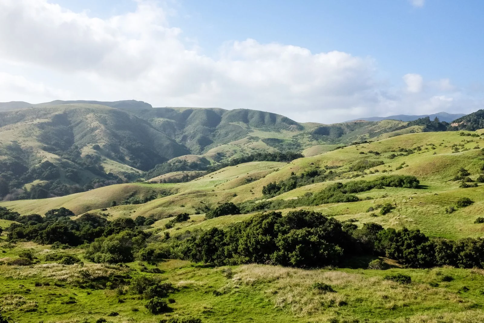 Big Sur