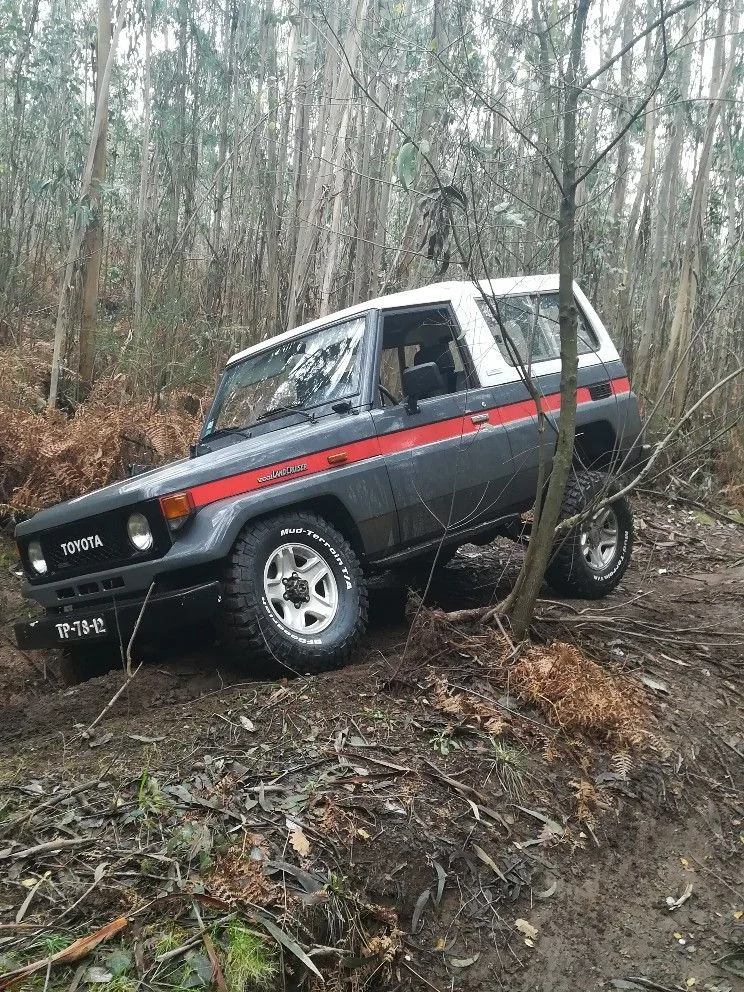 Bj73