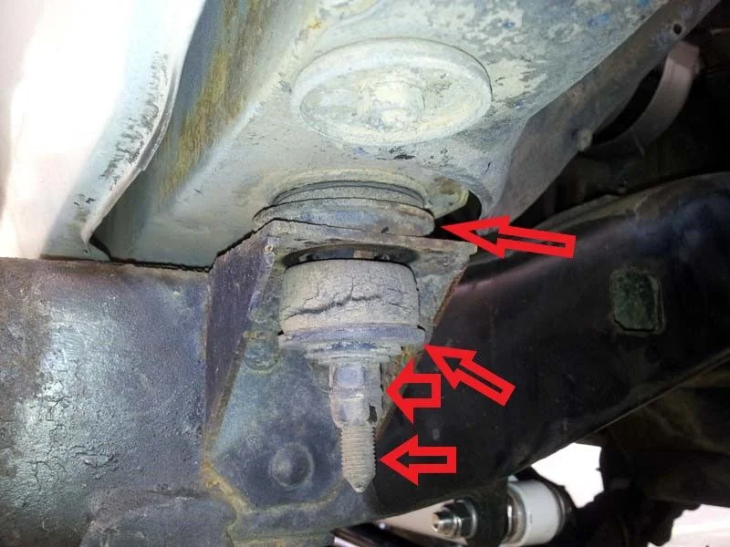 body mount