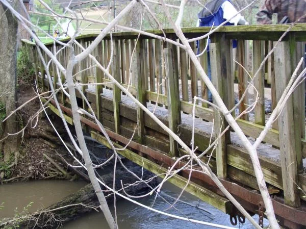 bridge 010