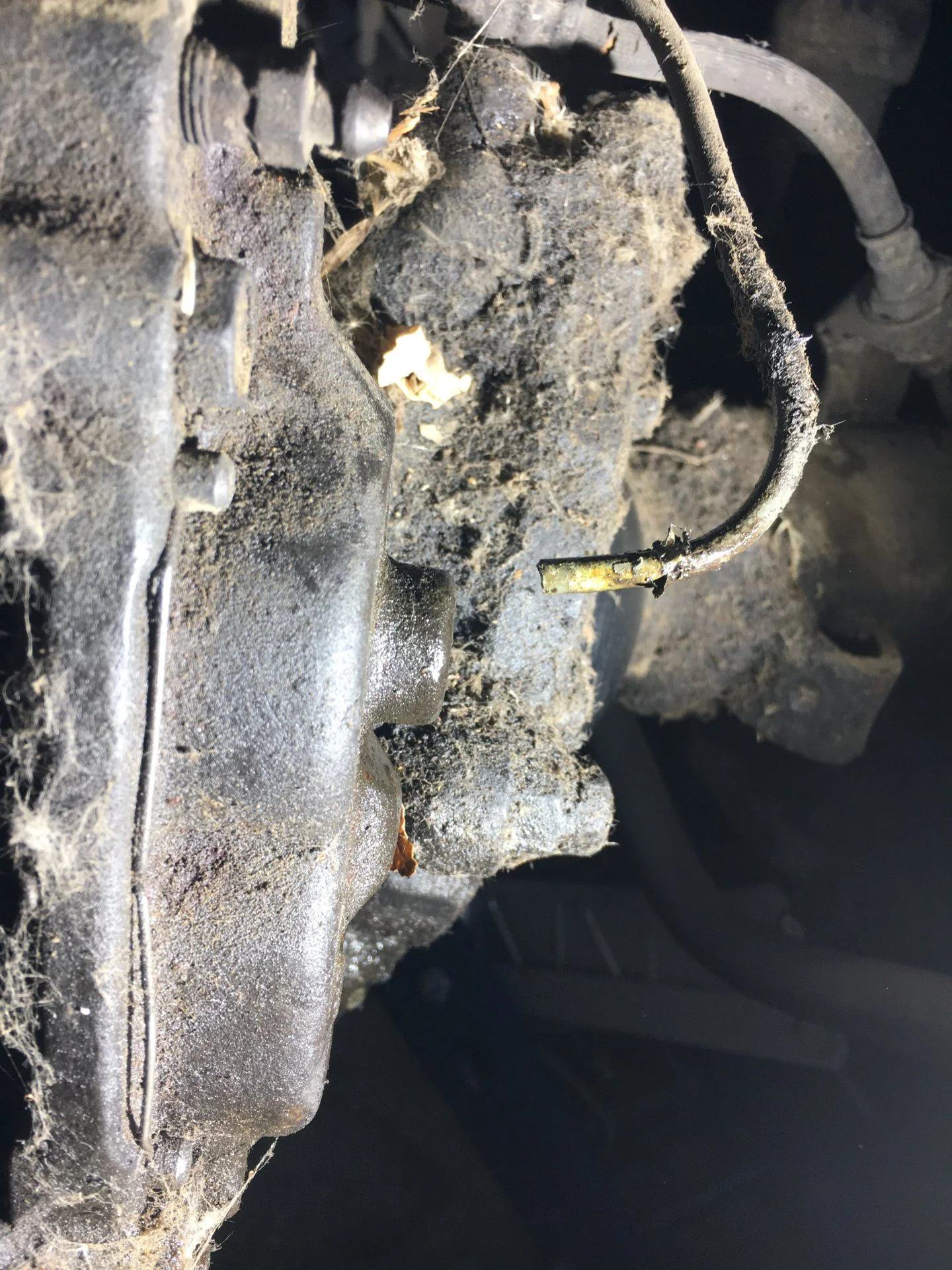 Broke