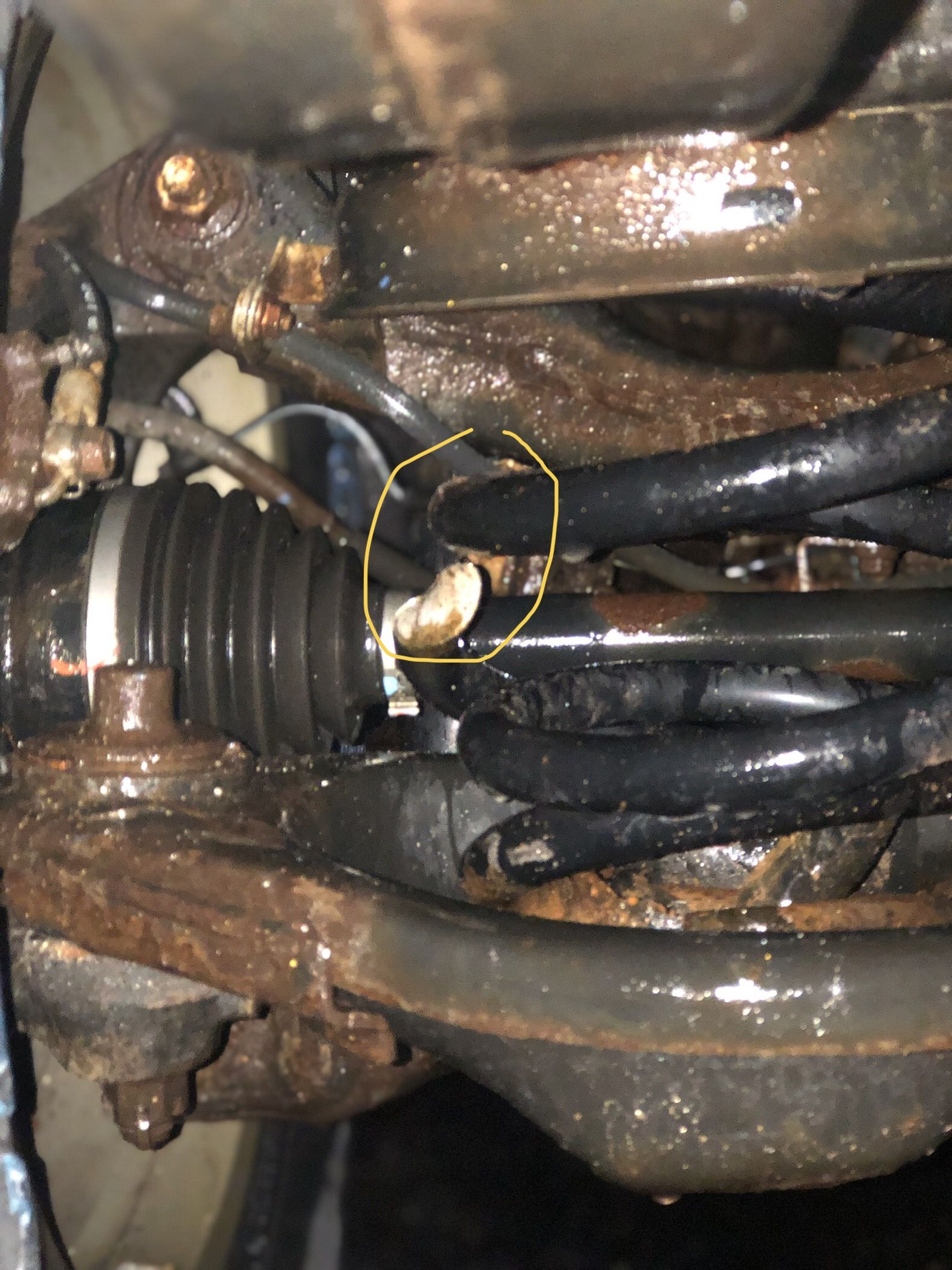 Broken coil spring