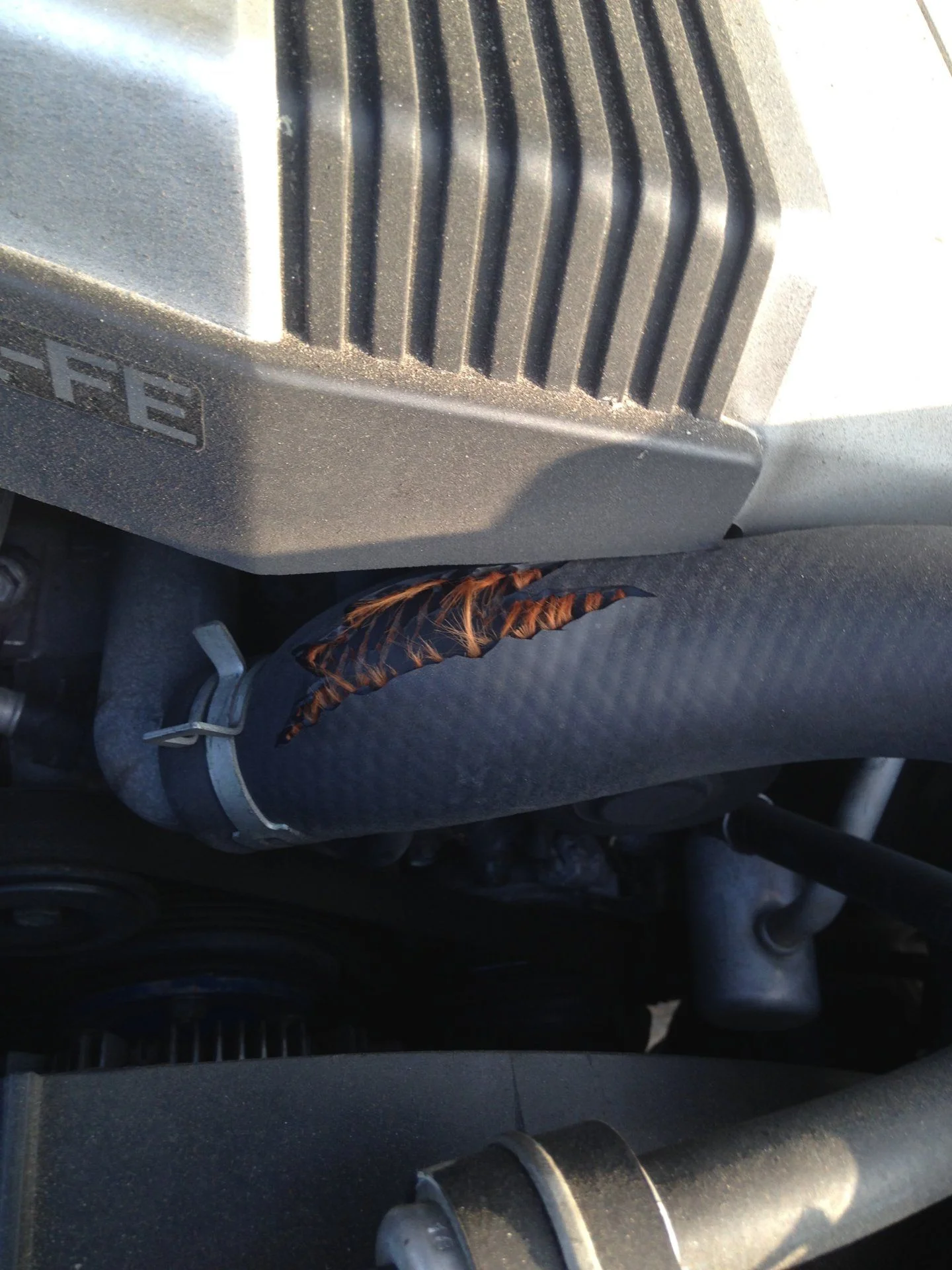 Busted radiator hose