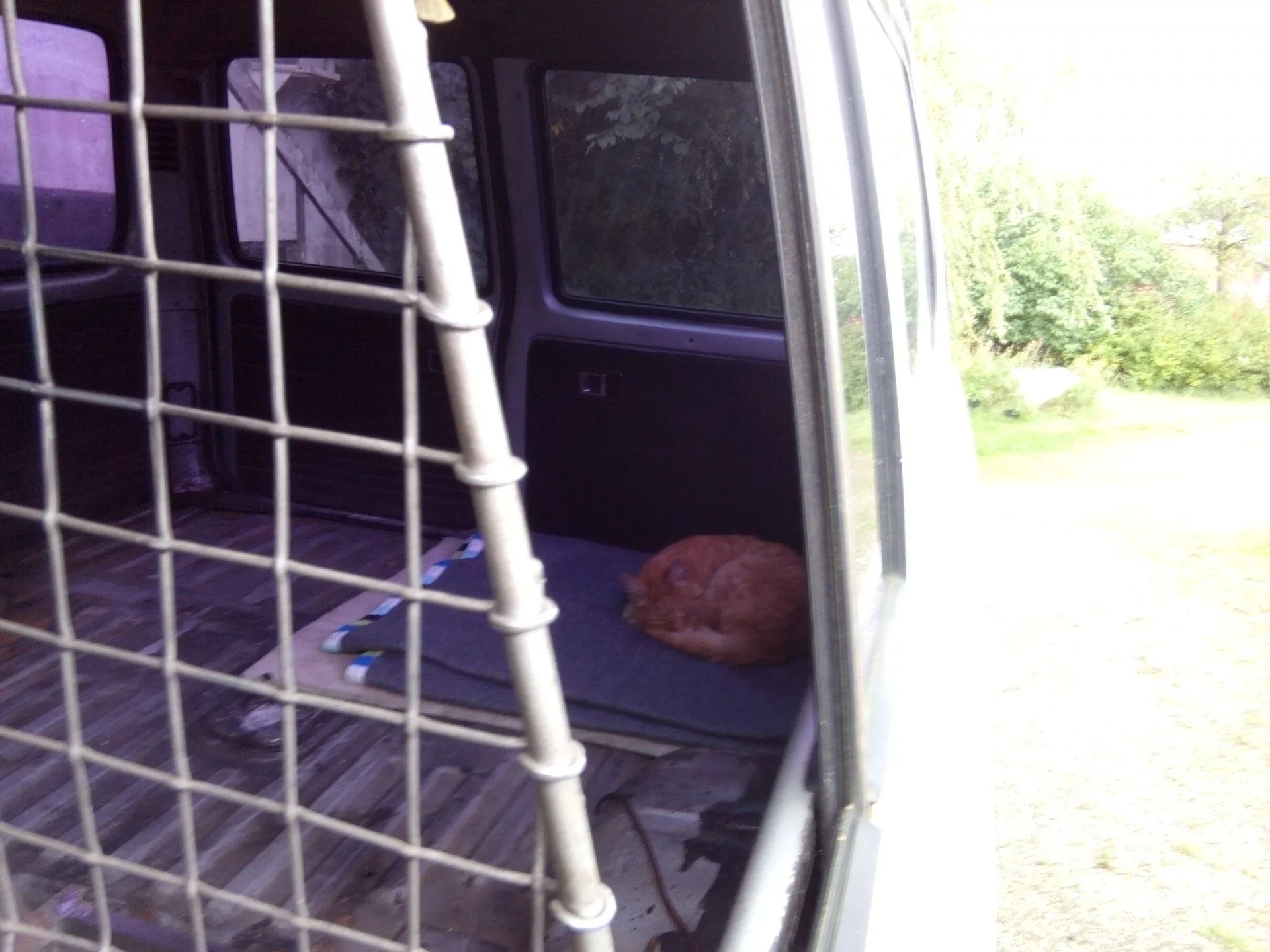 Cant ever close the window, he likes the HJ as his house