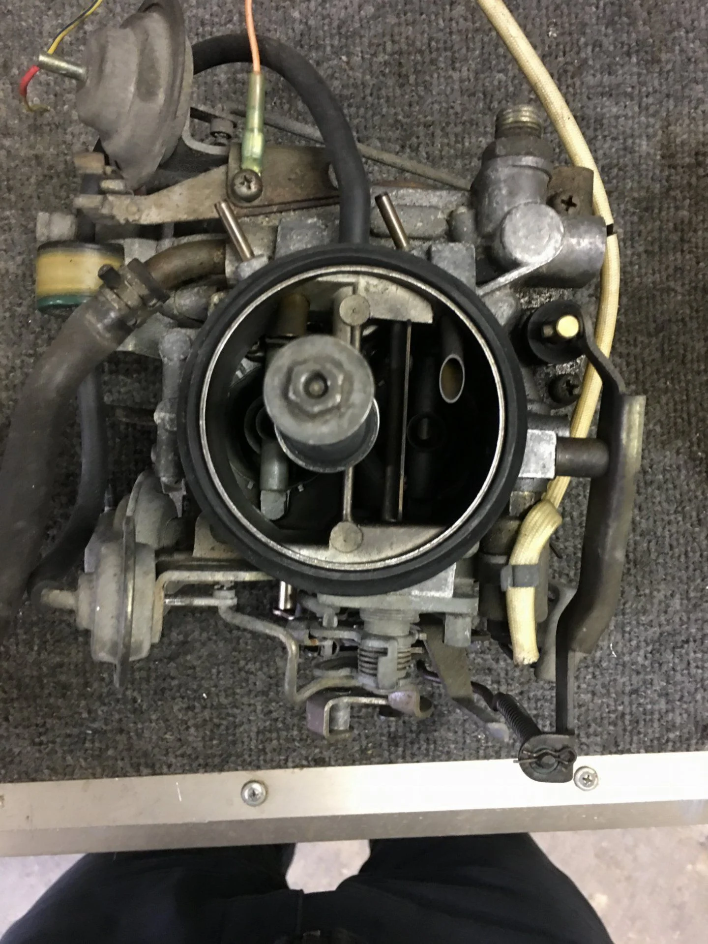 Carb5