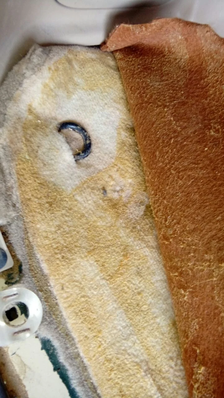 carpet 1