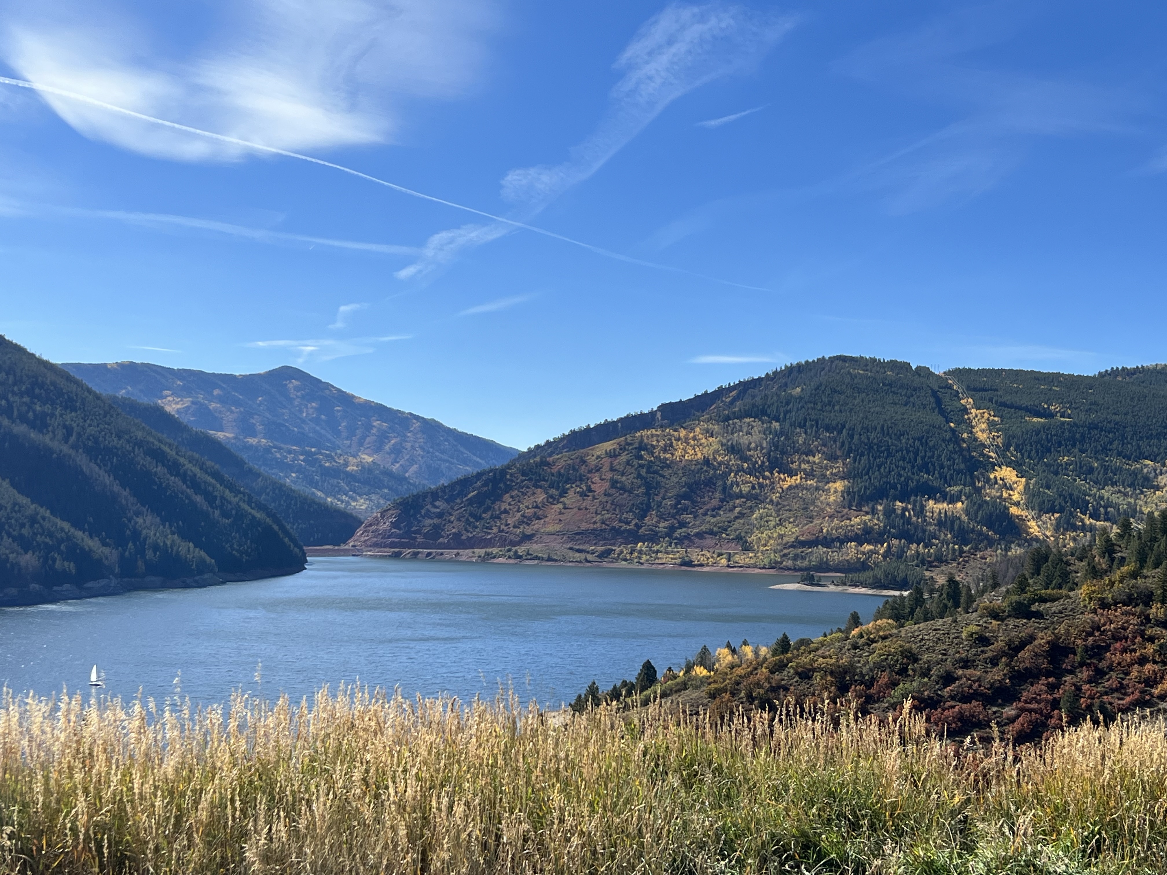 Chapman Res
