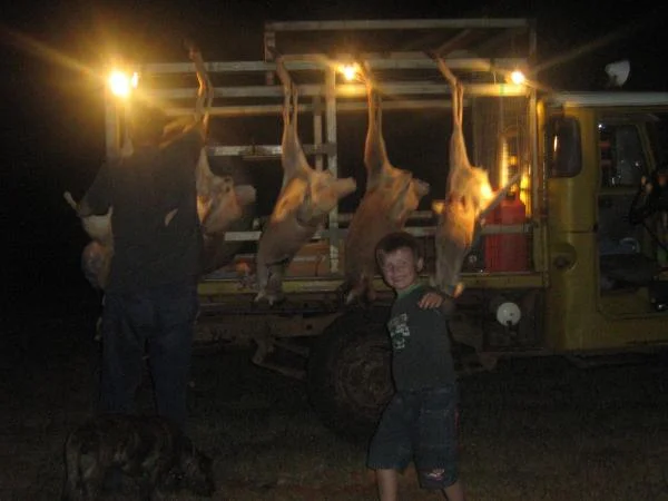 Chris and Aiden gutting Roo's
