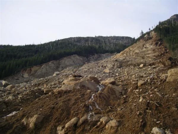 closer look at the landslide