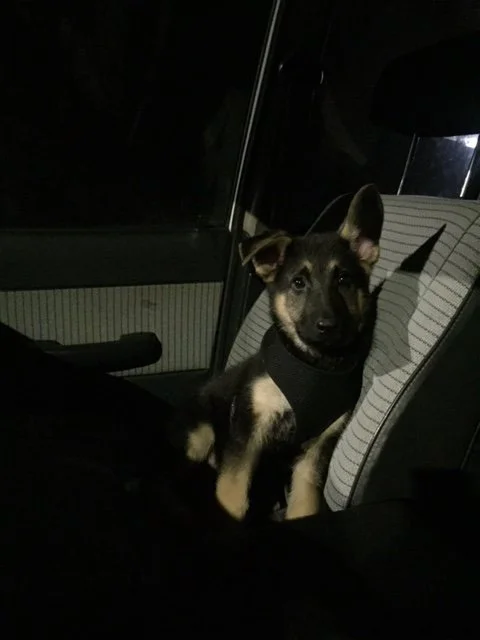 Co-pilot