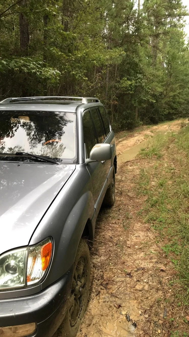 Couldn't resist a muddy trail when the bf and I went biking in the Francis Marion national forest