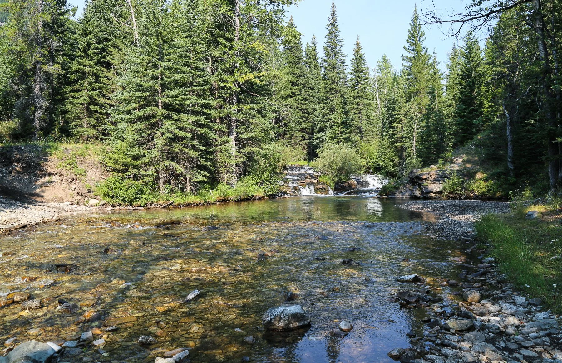 Crowsnest