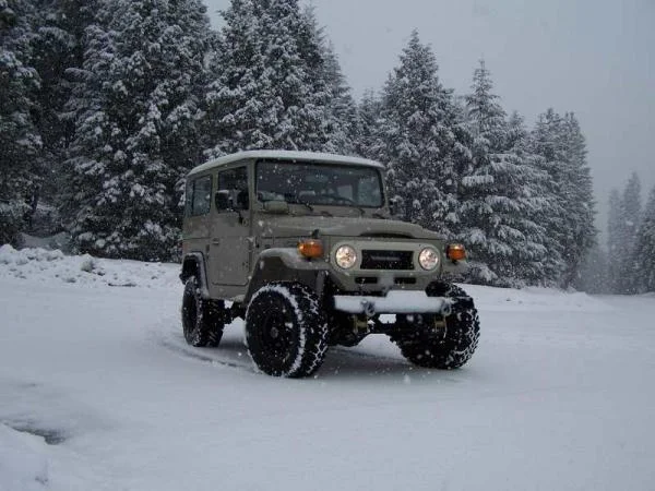 cruiser[1]