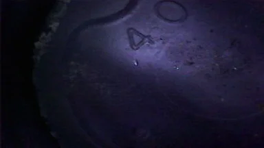 Cyl 1