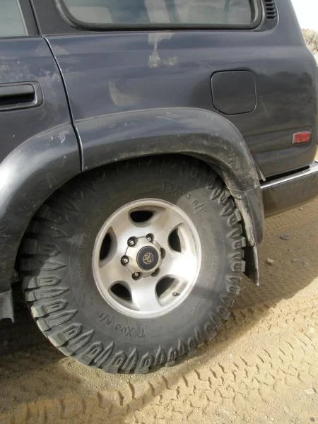 D/S Stuffed