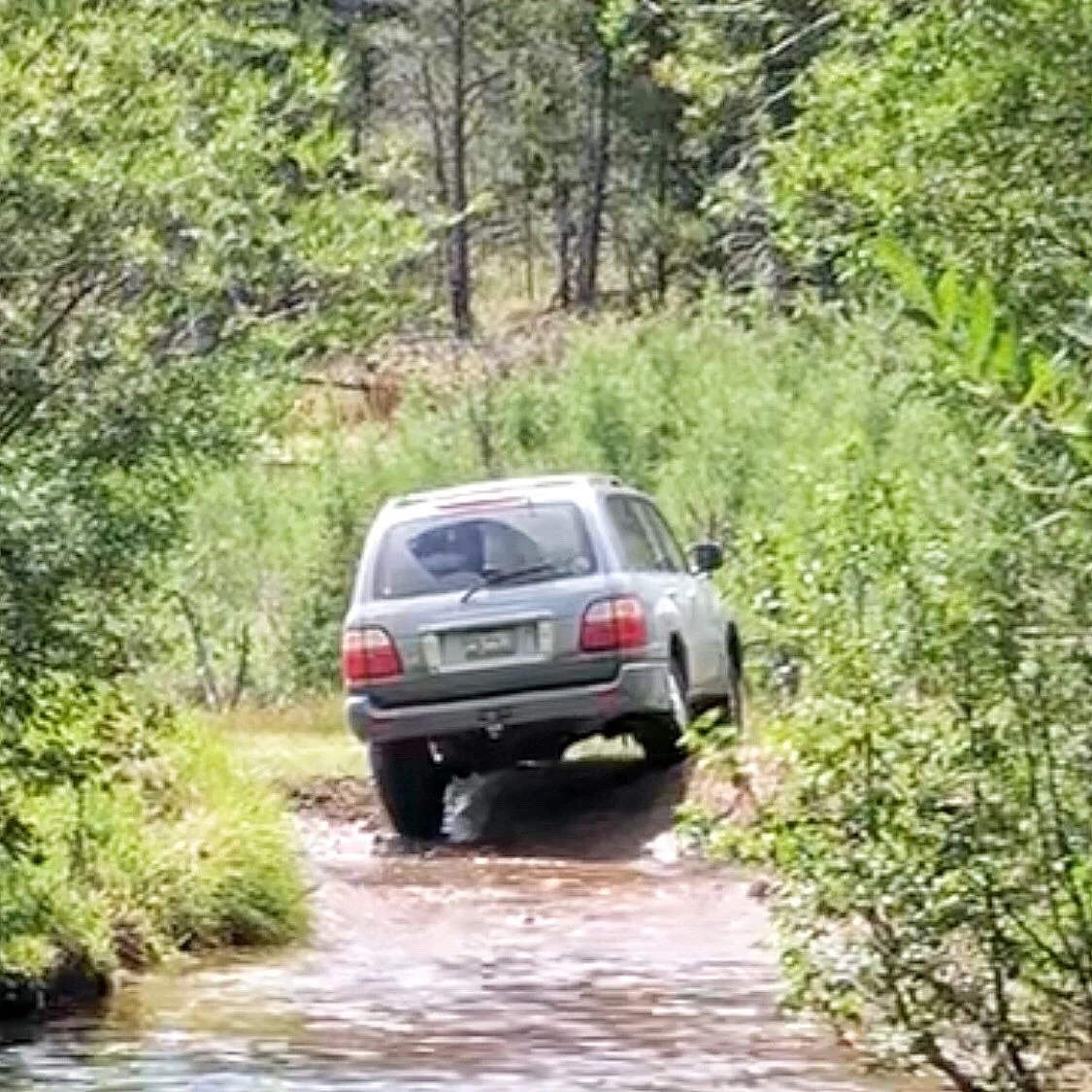 Dat articulation